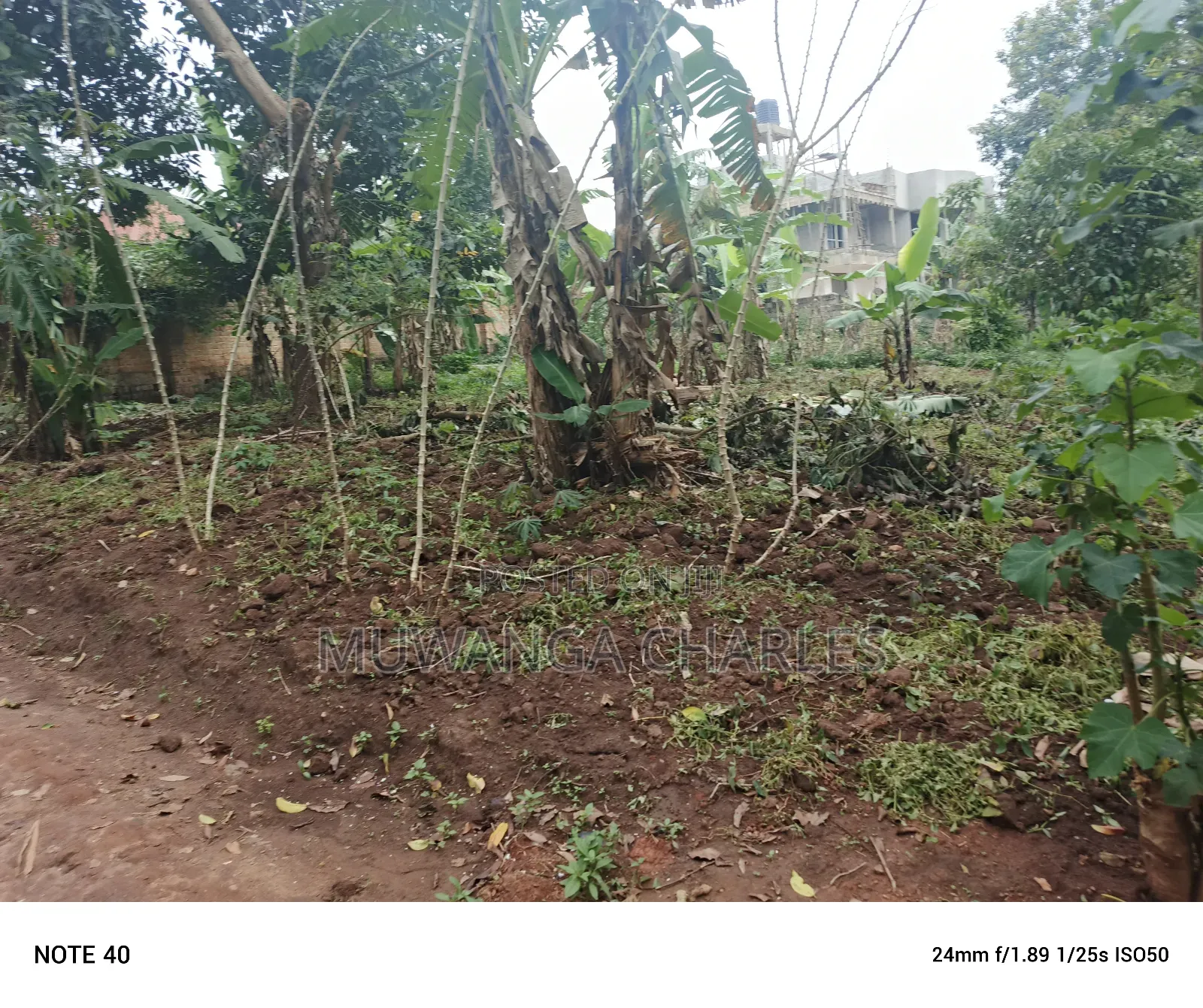 50by100ft Plot for Sale in Masoli in Wakiso / Wakiso