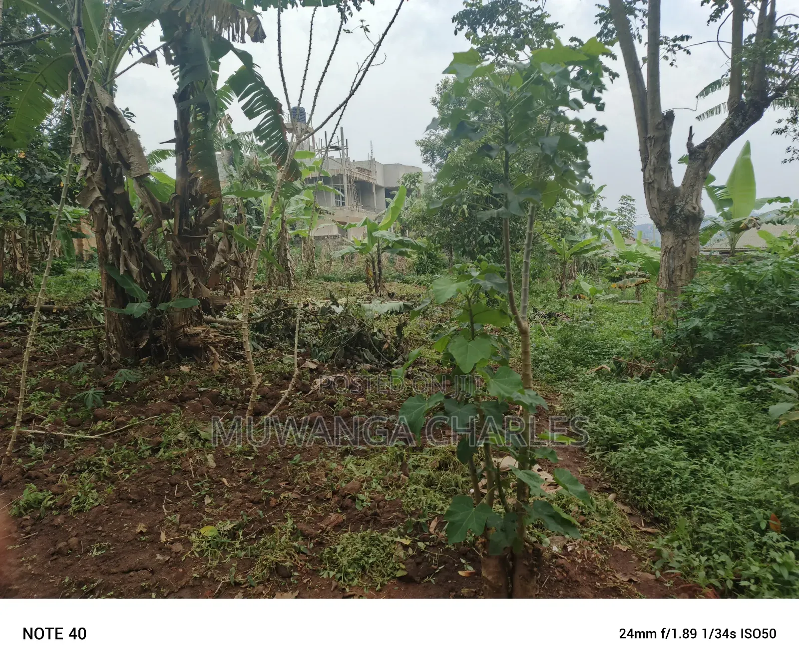 50by100ft Plot for Sale in Masoli in Wakiso / Wakiso