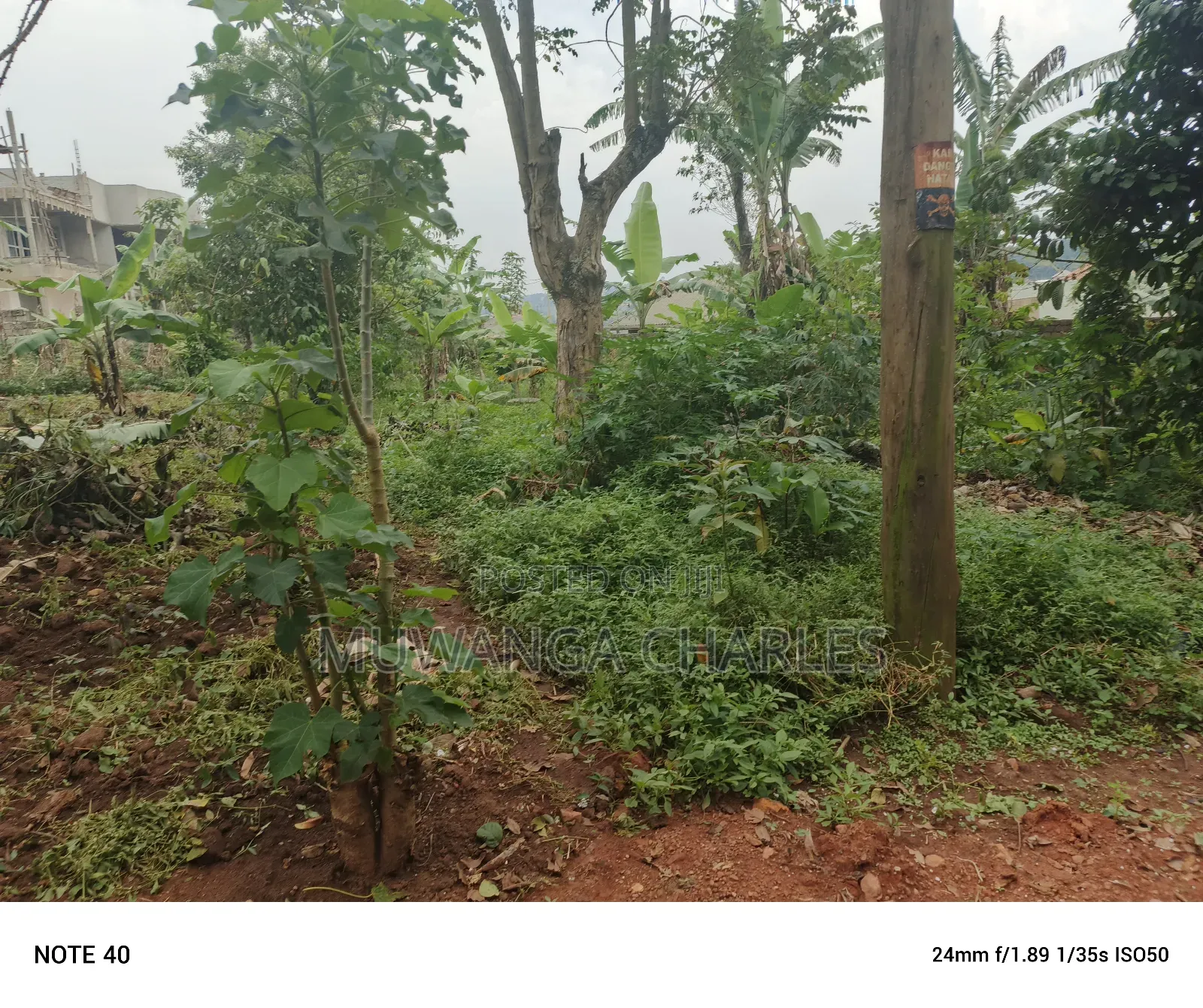 50by100ft Plot for Sale in Masoli in Wakiso / Wakiso