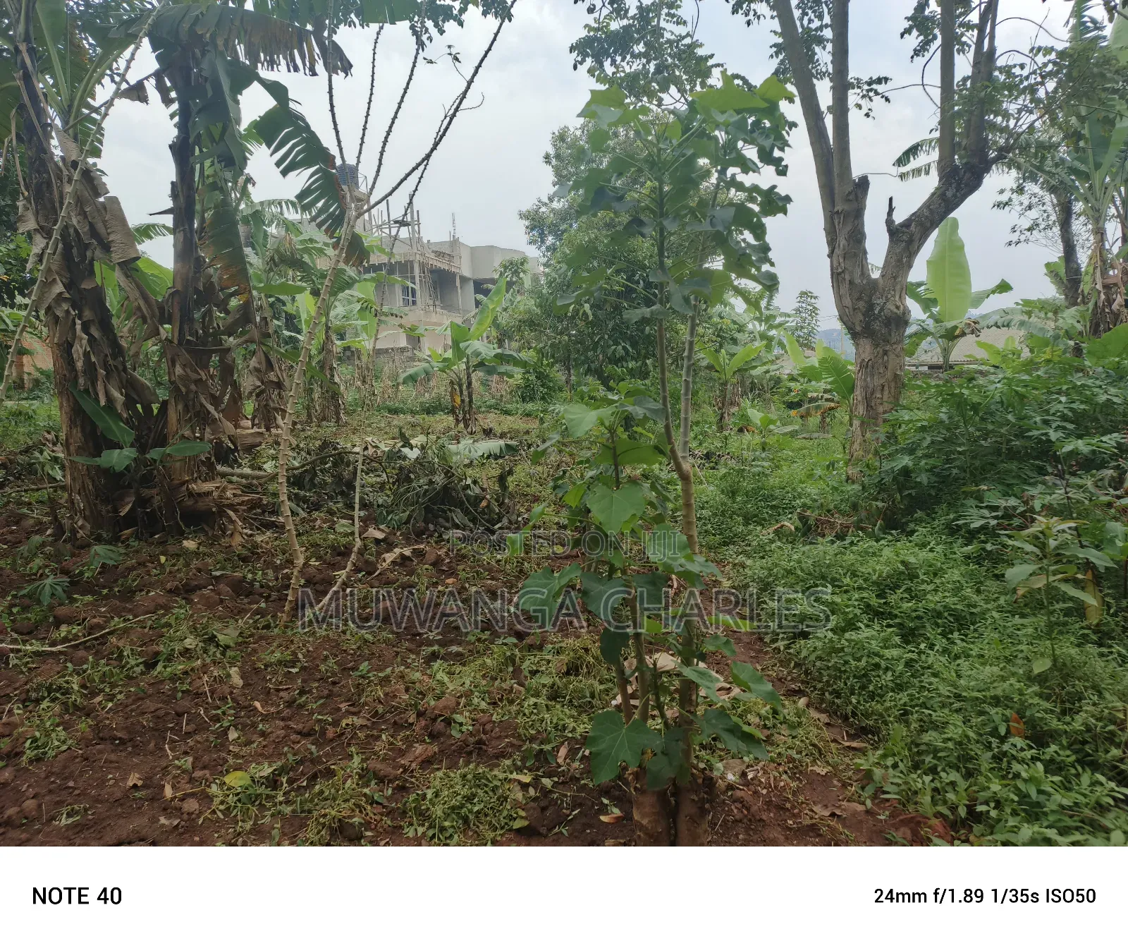 50by100ft Plot for Sale in Masoli in Wakiso / Wakiso