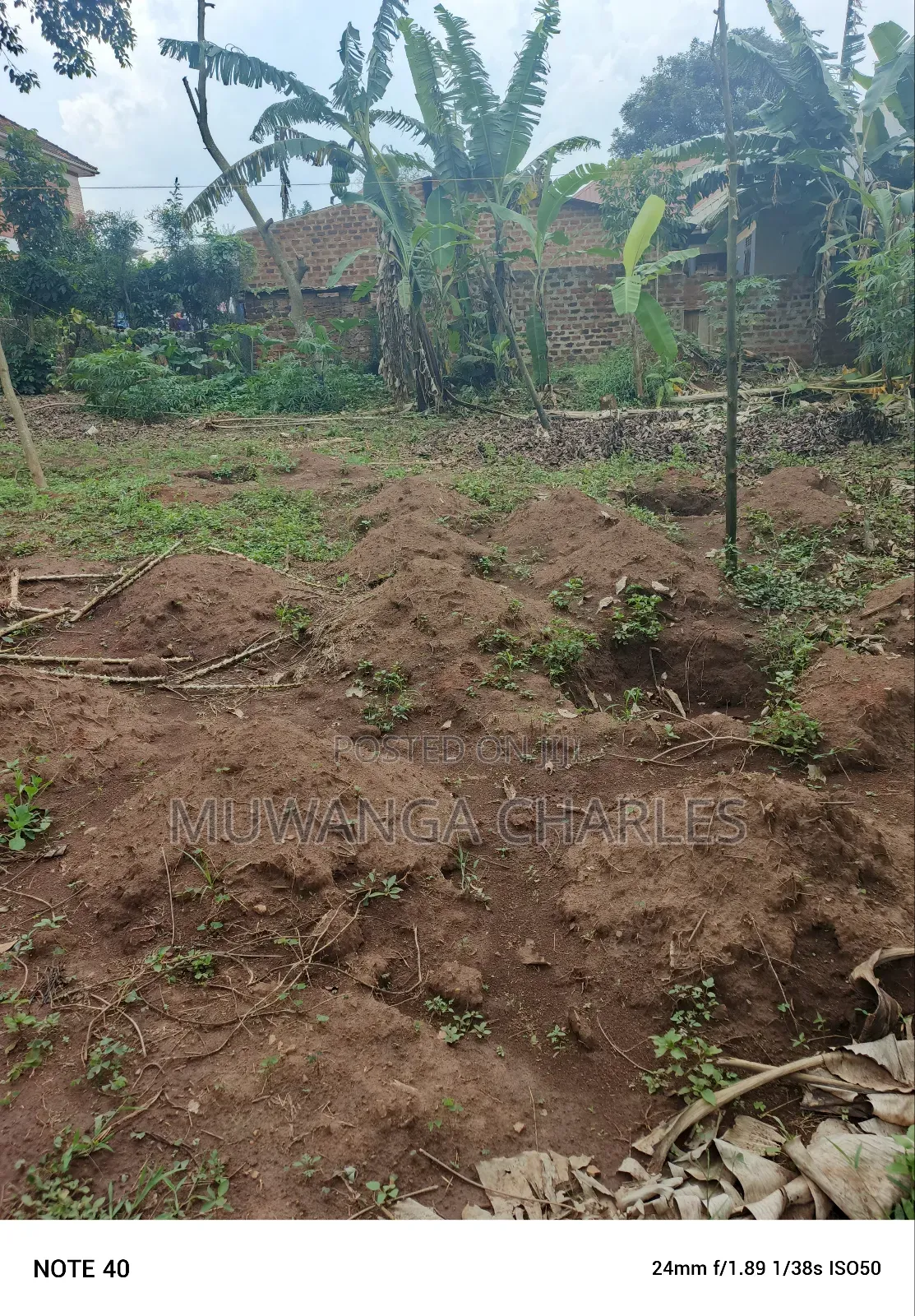 100by50ft Plot for Sale in Masoli in Wakiso / Wakiso