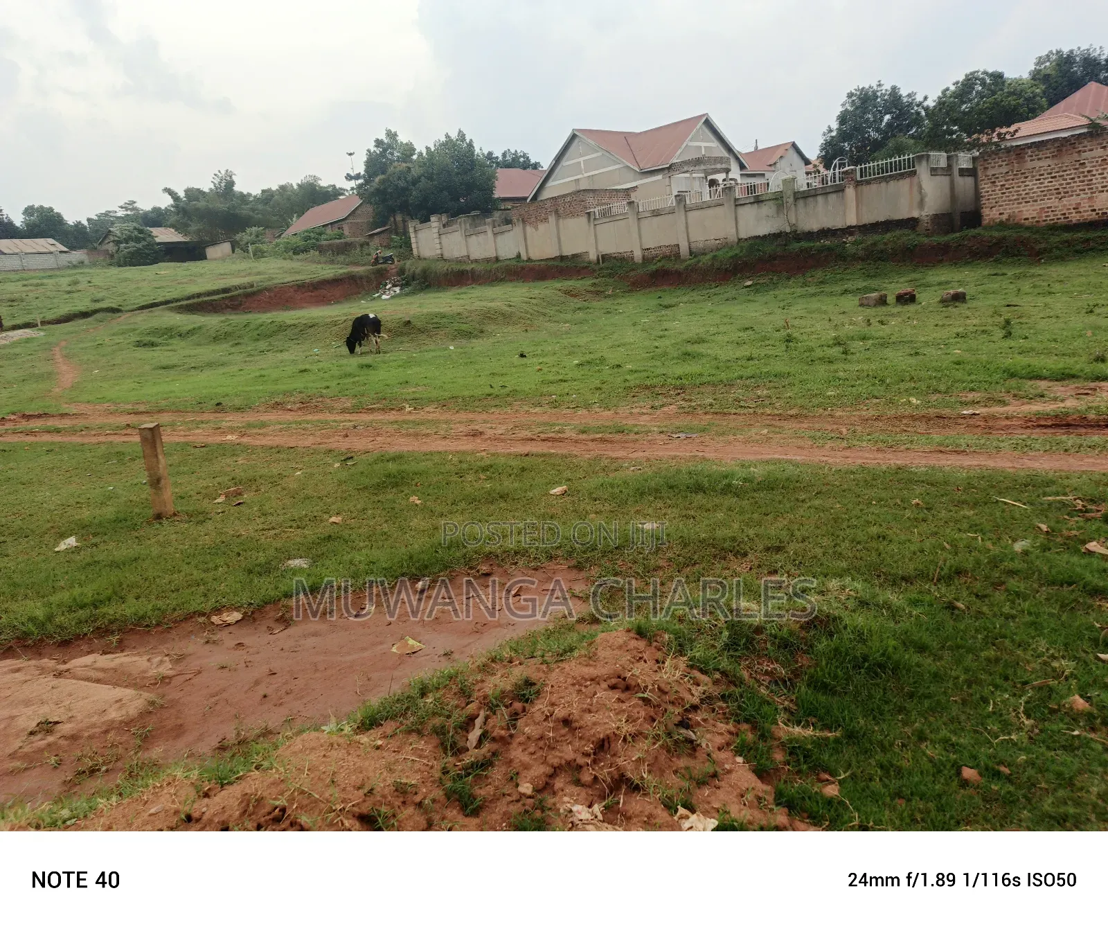 100by50ft Plot for Sale in Masoli in Wakiso / Wakiso