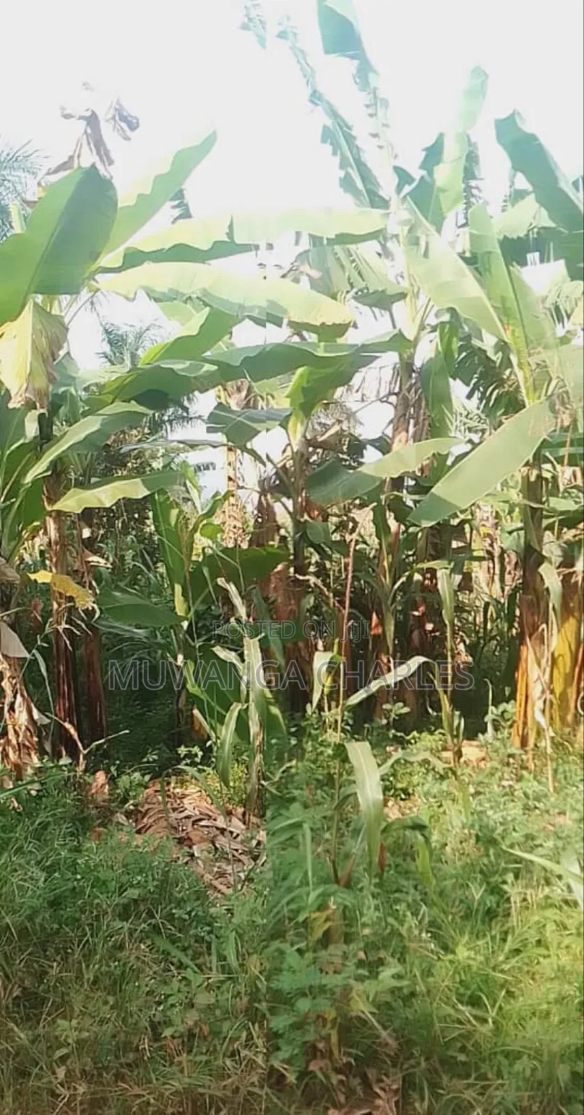 Plot for Sale in Magere in Wakiso / Wakiso