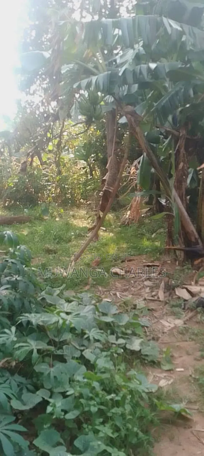Plot for Sale in Magere in Wakiso / Wakiso