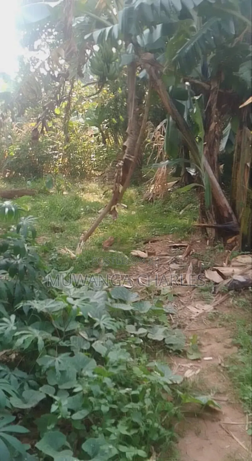 Plot for Sale in Magere in Wakiso / Wakiso