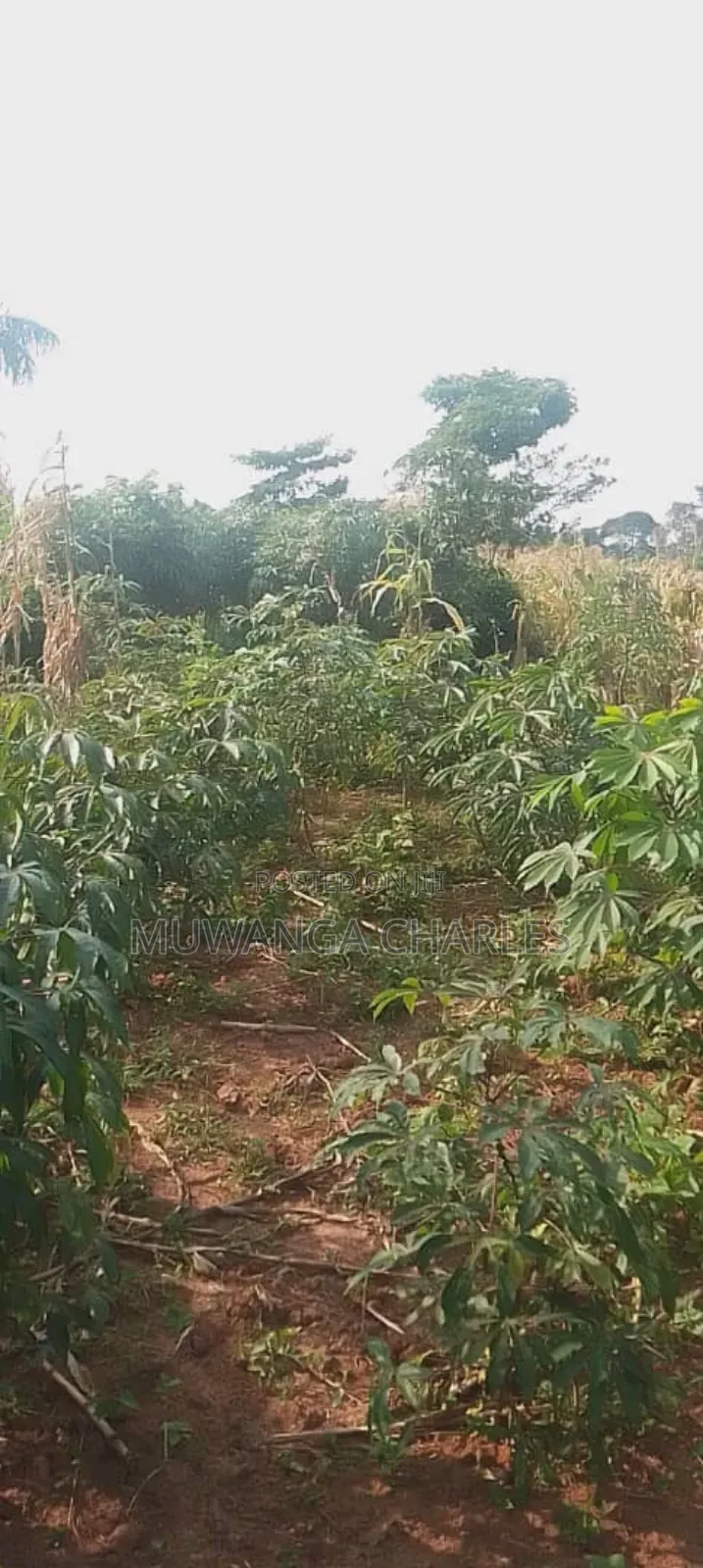Plot for Sale in Magere in Wakiso / Wakiso