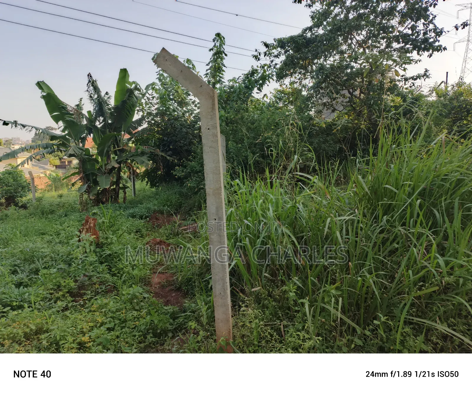 100by50ft Plot for Sale in Buwate in Wakiso / Wakiso