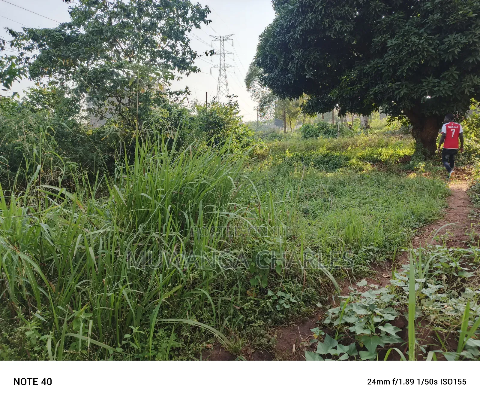 100by50ft Plot for Sale in Buwate in Wakiso / Wakiso