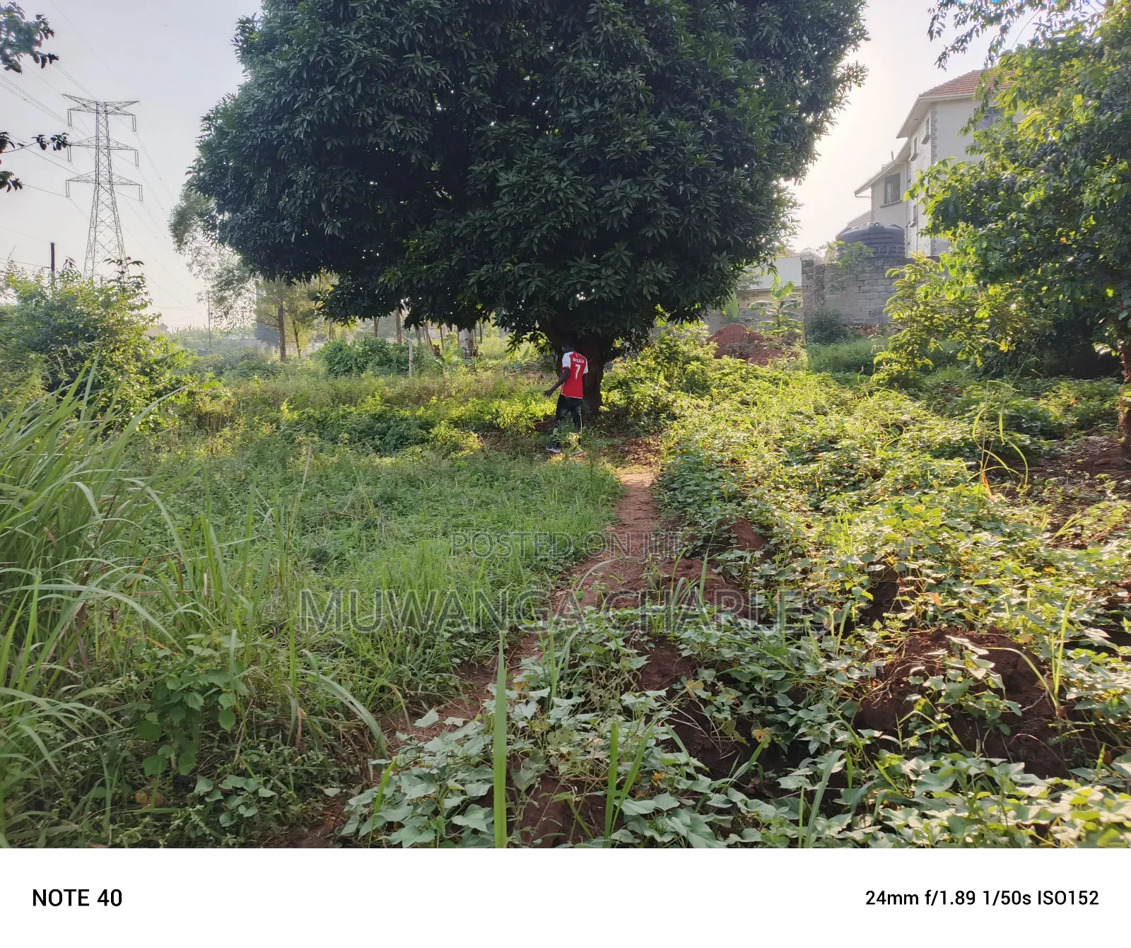 100by50ft Plot for Sale in Buwate in Wakiso / Wakiso