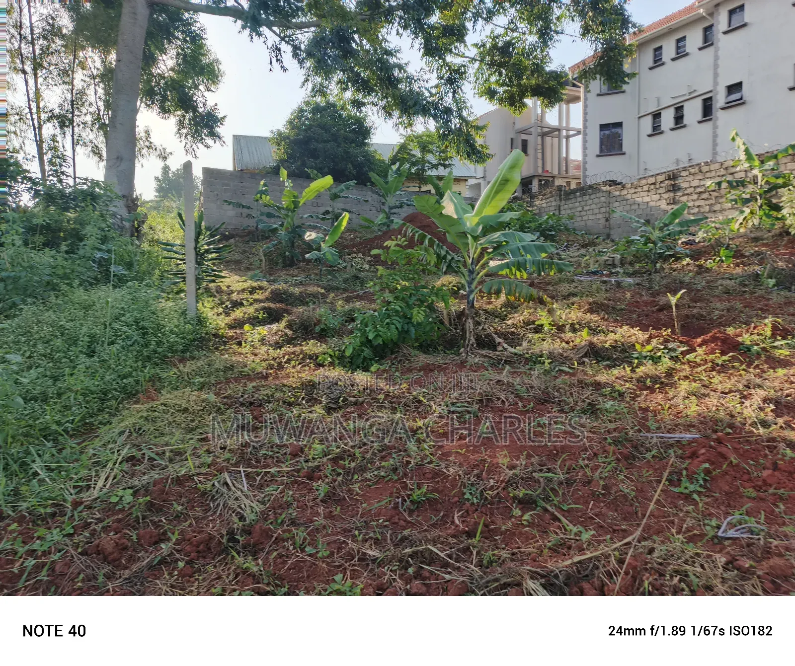 100by50ft Plot for Sale in Buwate in Wakiso / Wakiso