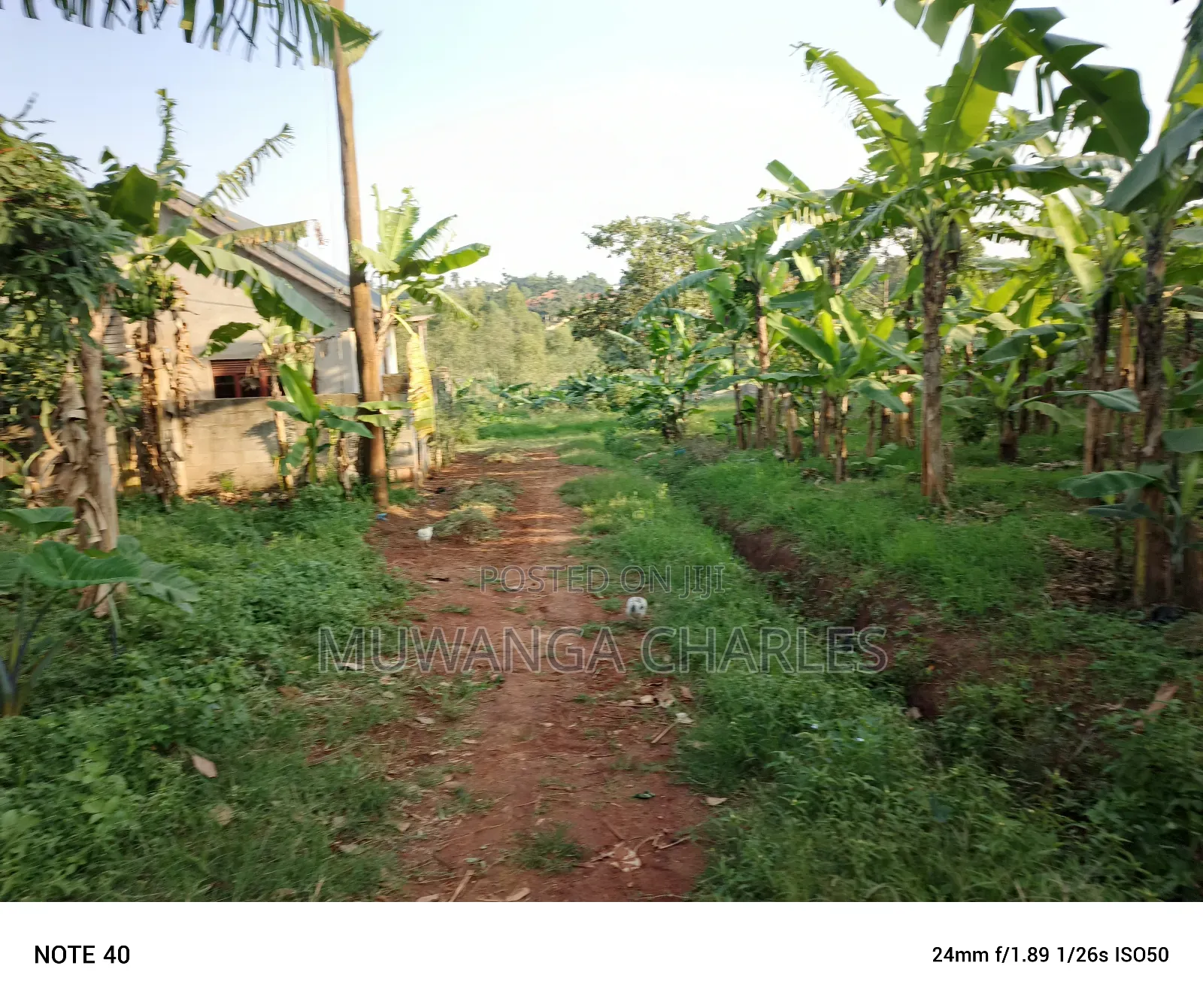 100by50ft Plot for Sale in Magere in Wakiso / Wakiso