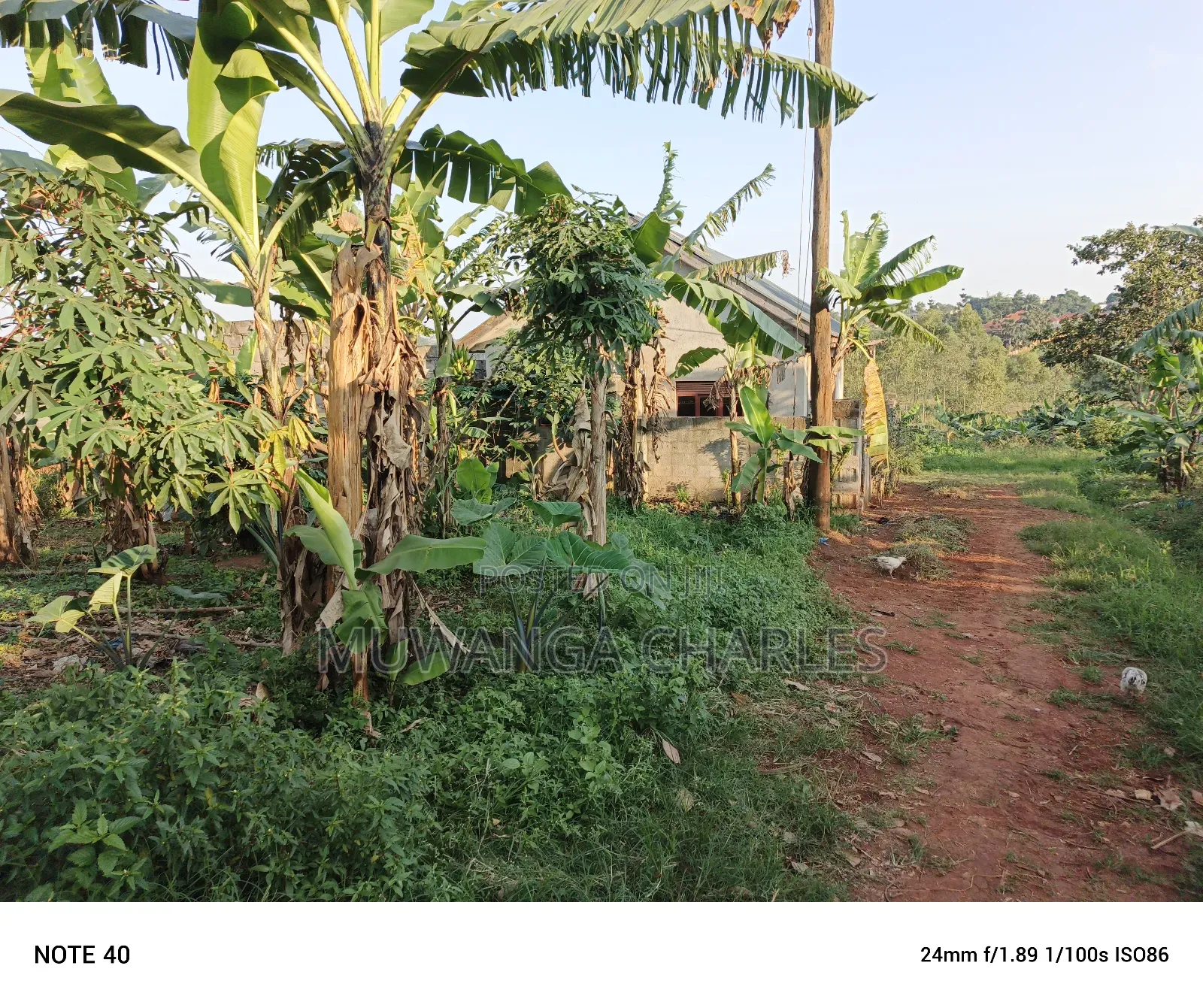 100by50ft Plot for Sale in Magere in Wakiso / Wakiso