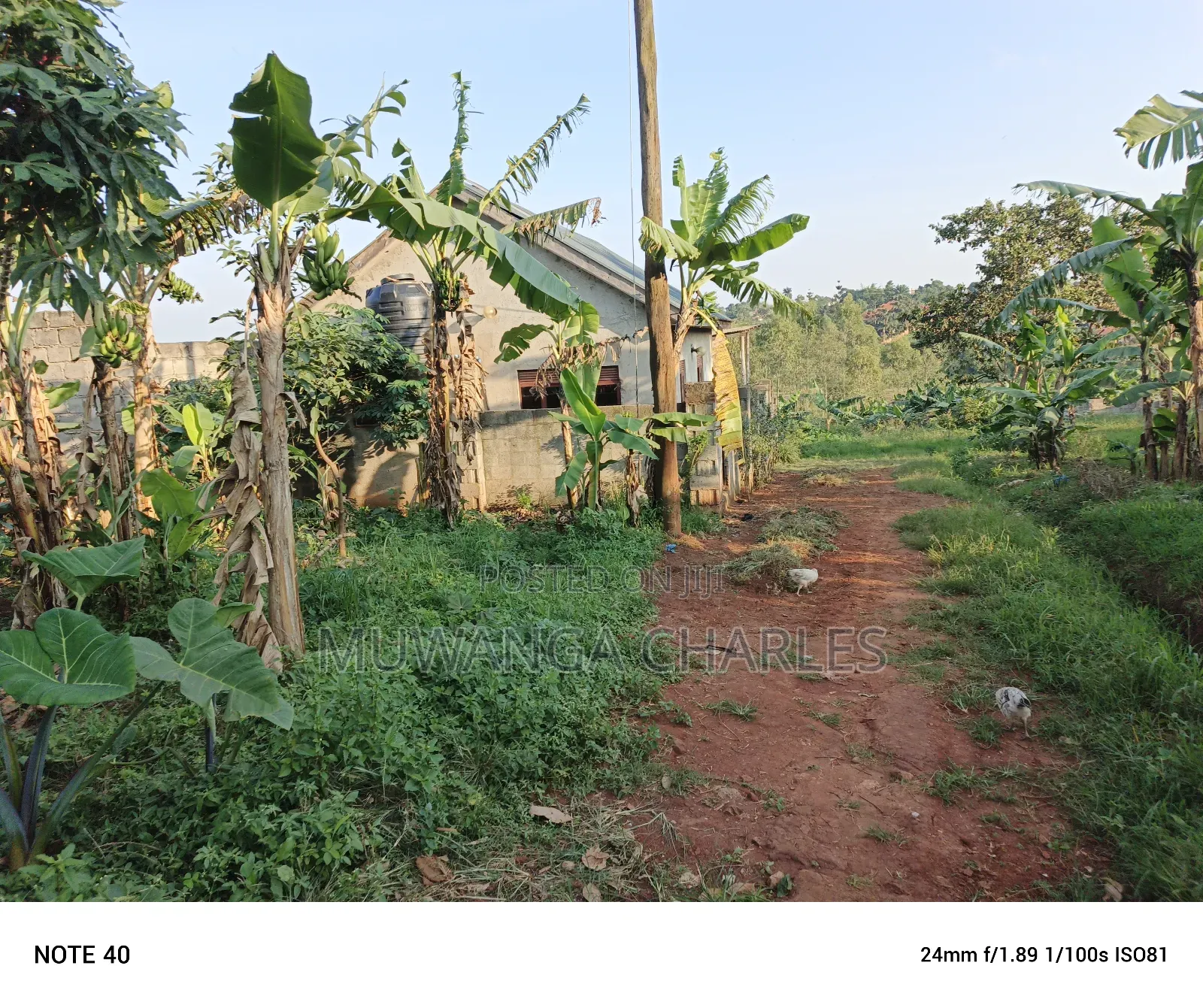 100by50ft Plot for Sale in Magere in Wakiso / Wakiso