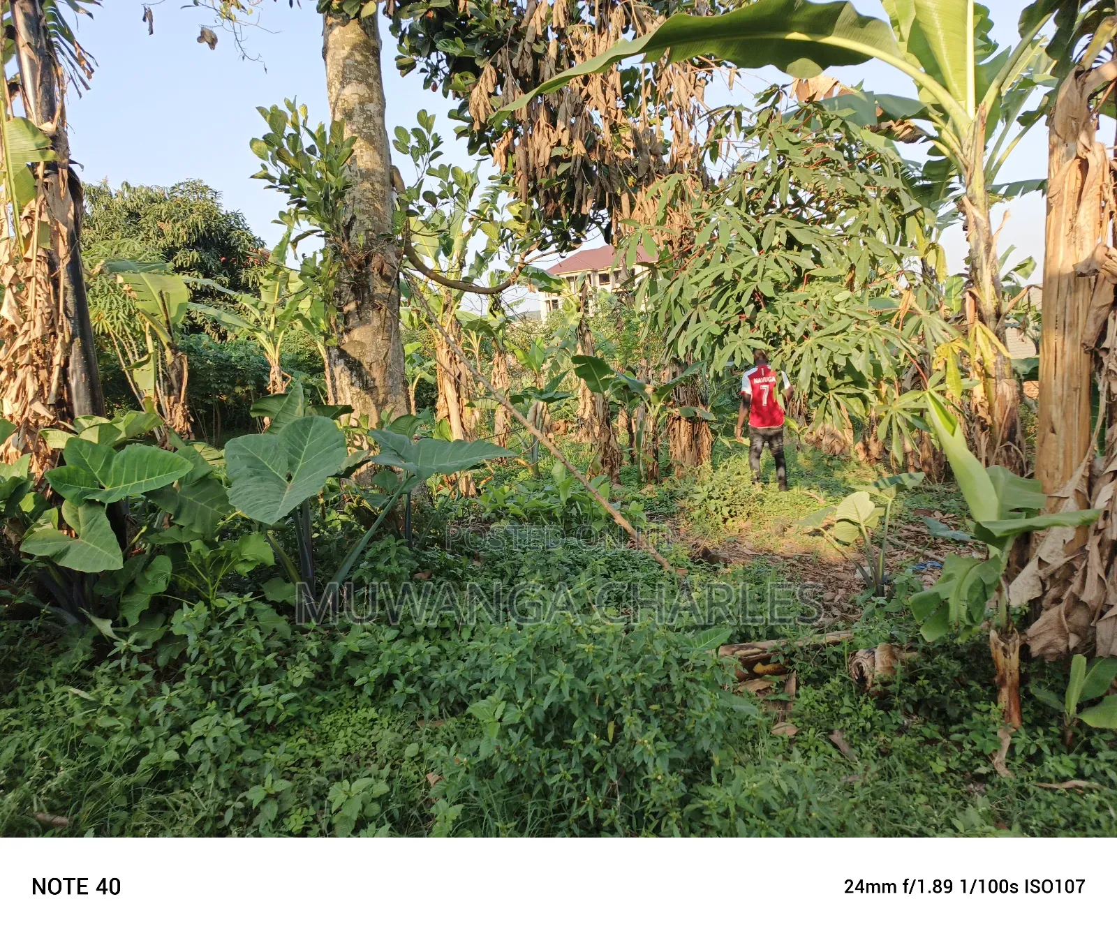 100by50ft Plot for Sale in Magere in Wakiso / Wakiso