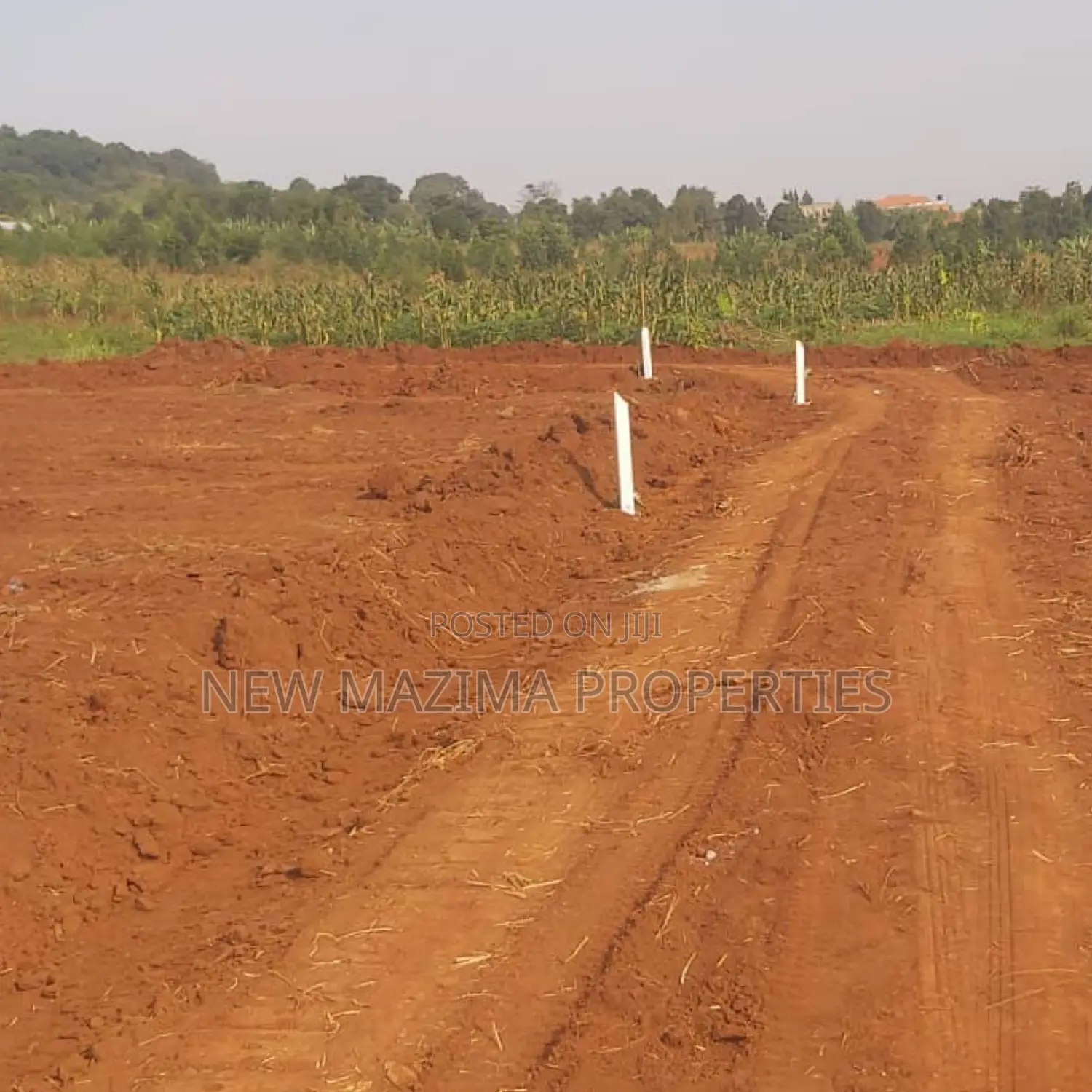 Very Classie New Estate on Ntebe Rd Kitende Ssisa With Title in Division A