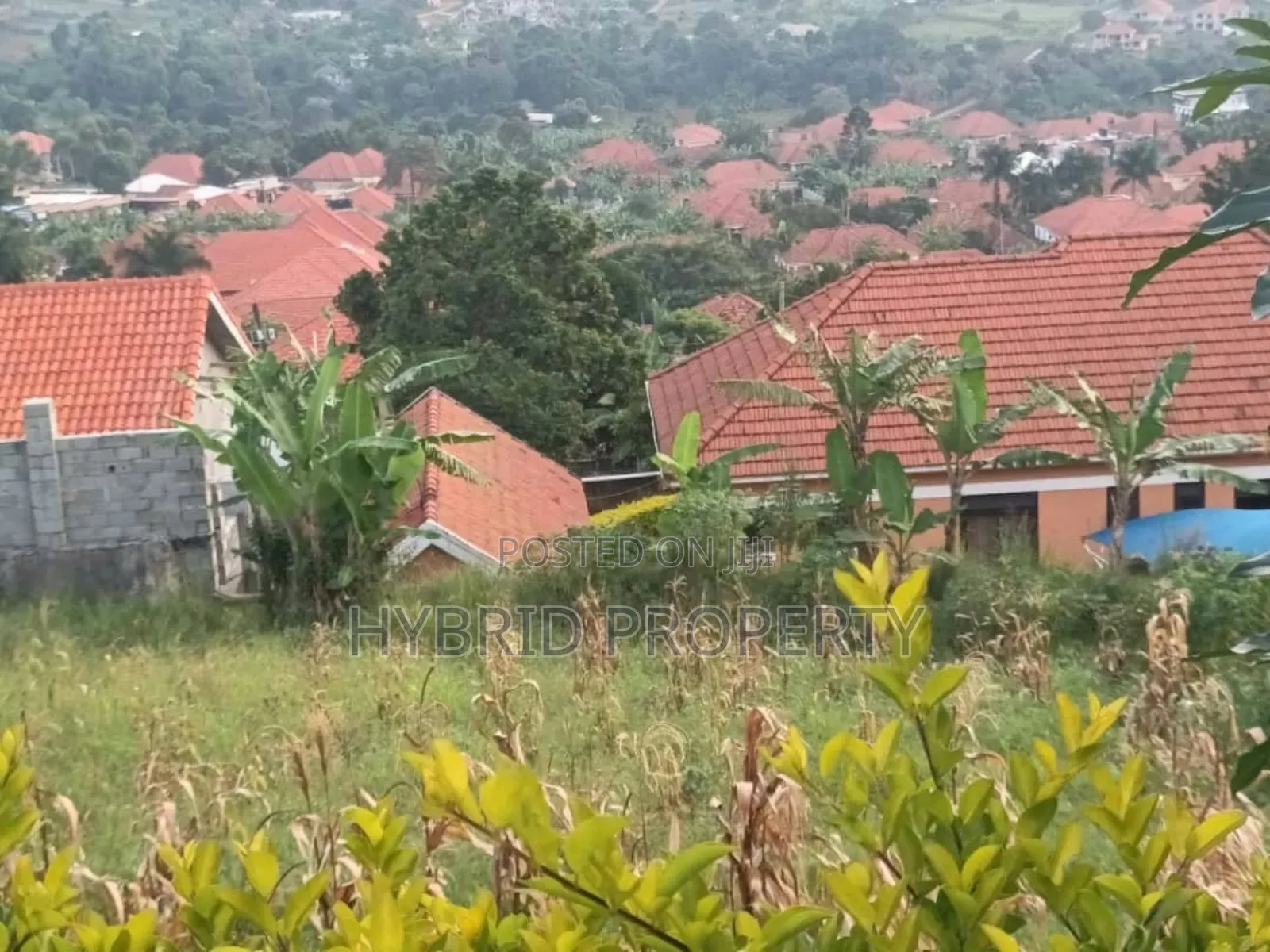 Prime Plots for Sale in Akright City Bwebajja~Entebbe Road. in Ssisa