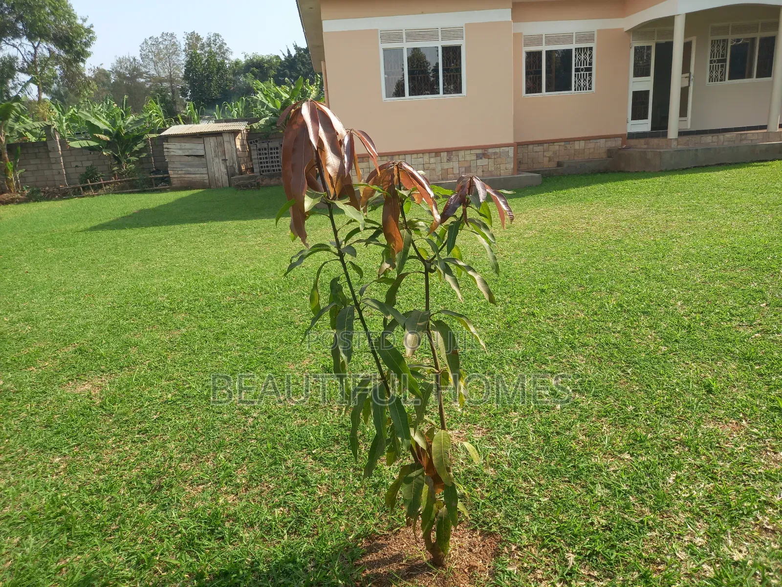 Furnished 3bdrm House in Kisaas, Nakawa for sale in Nakawa