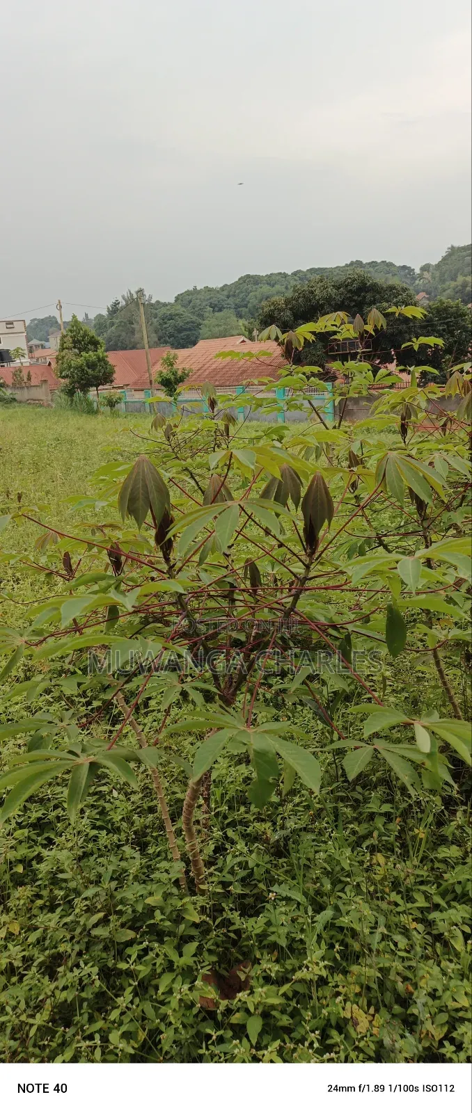Plot for Sale in Kitetika in Central Division