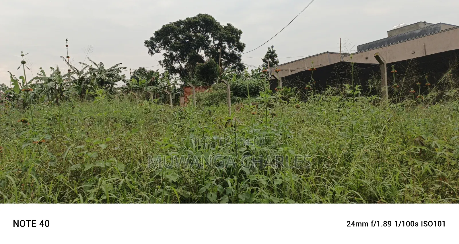 Plot For Sale In Magere in Central Division