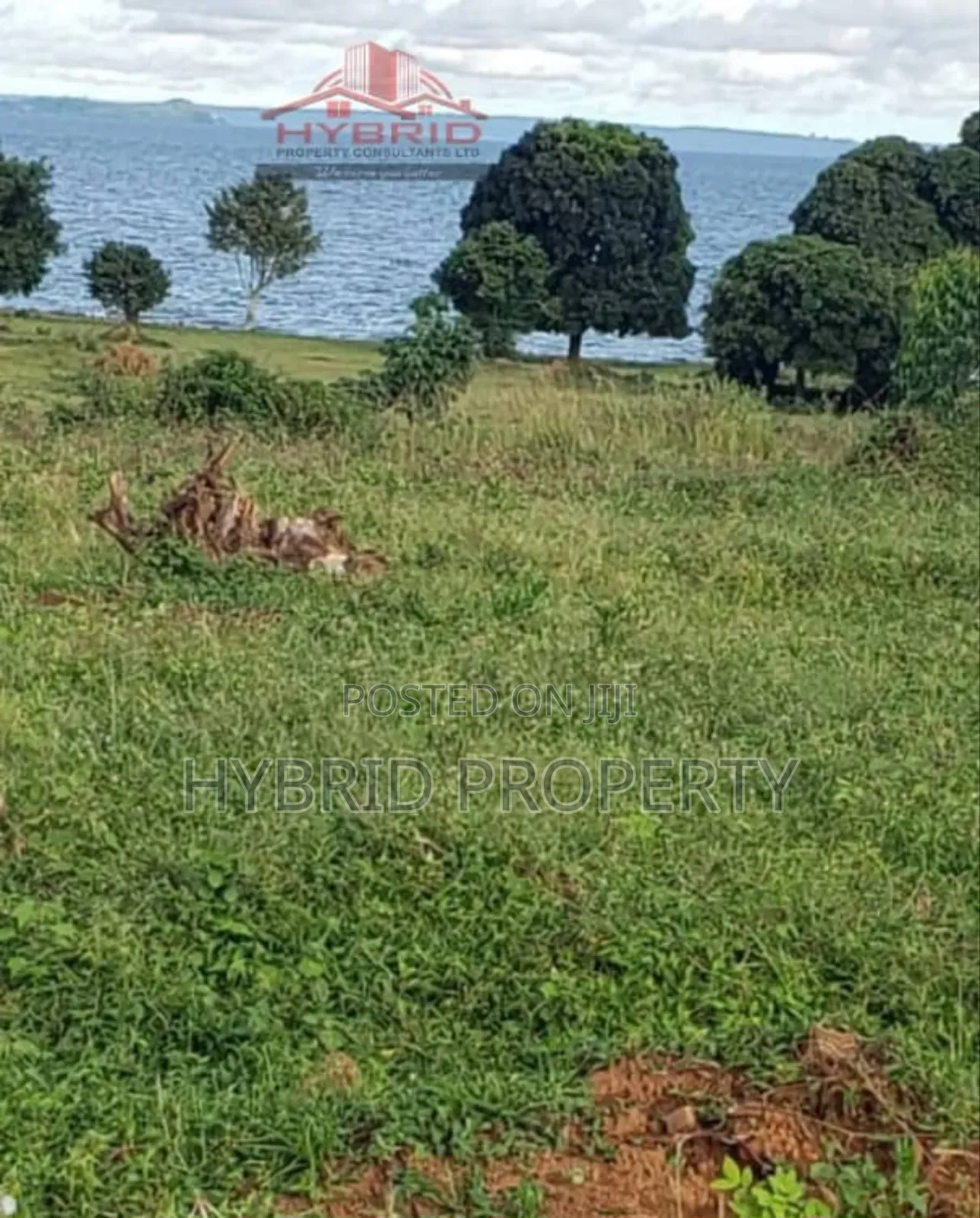 Prime Plots for Sale at Garuga Land Estate Near Pearl Marina in Katabi