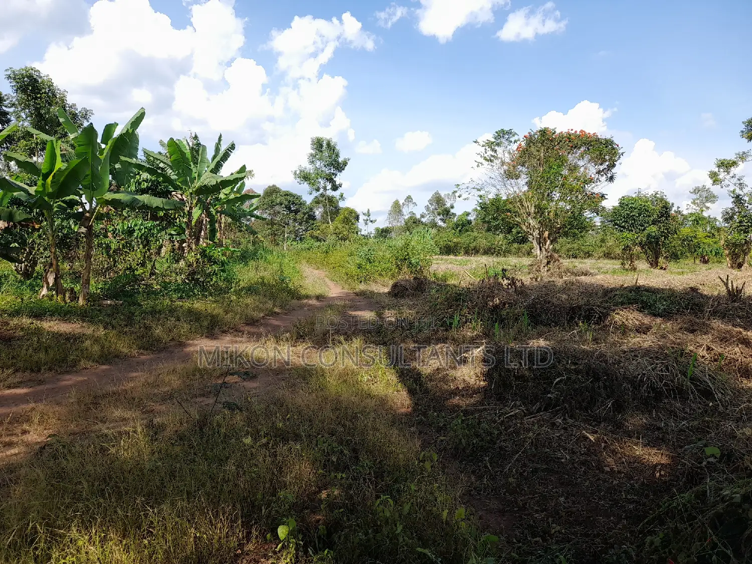 40 Acres of Fertile Land on Sale in Nakaseke District in Central Division