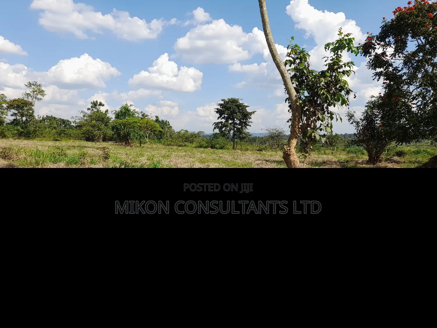 40 Acres of Fertile Land on Sale in Nakaseke District in Central Division