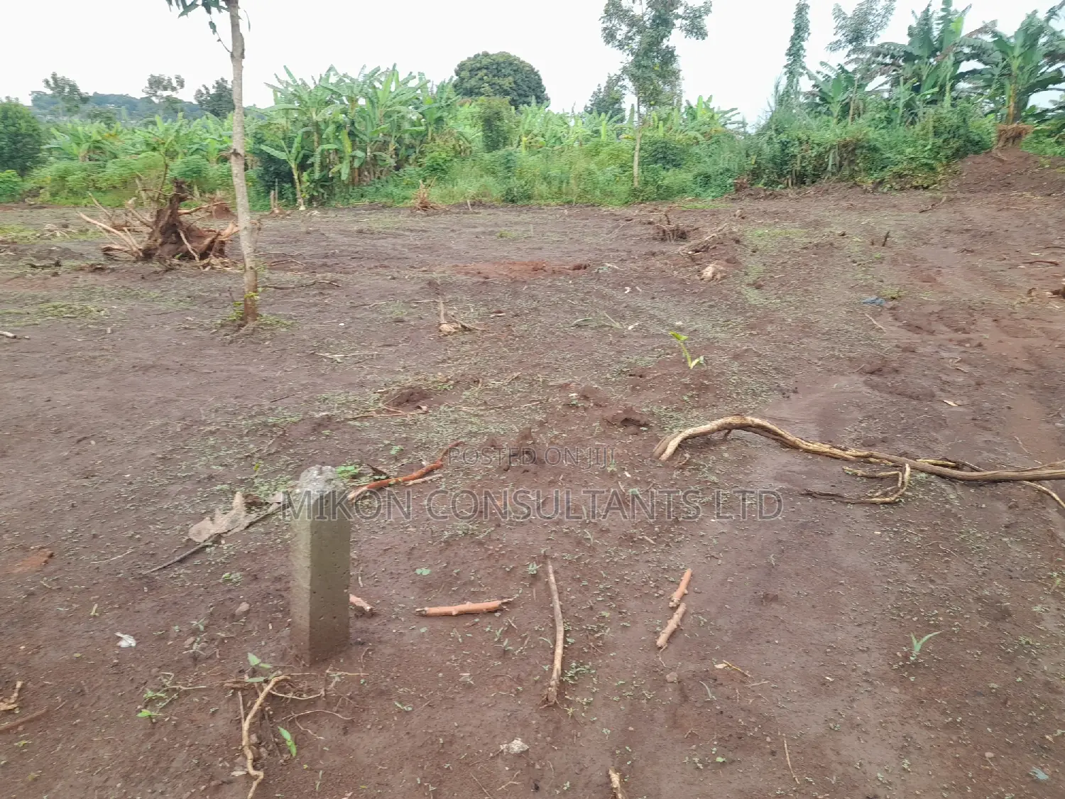 100 by 50 FTS Plot on Sale in Matuga Ssemuto Road in Central Division