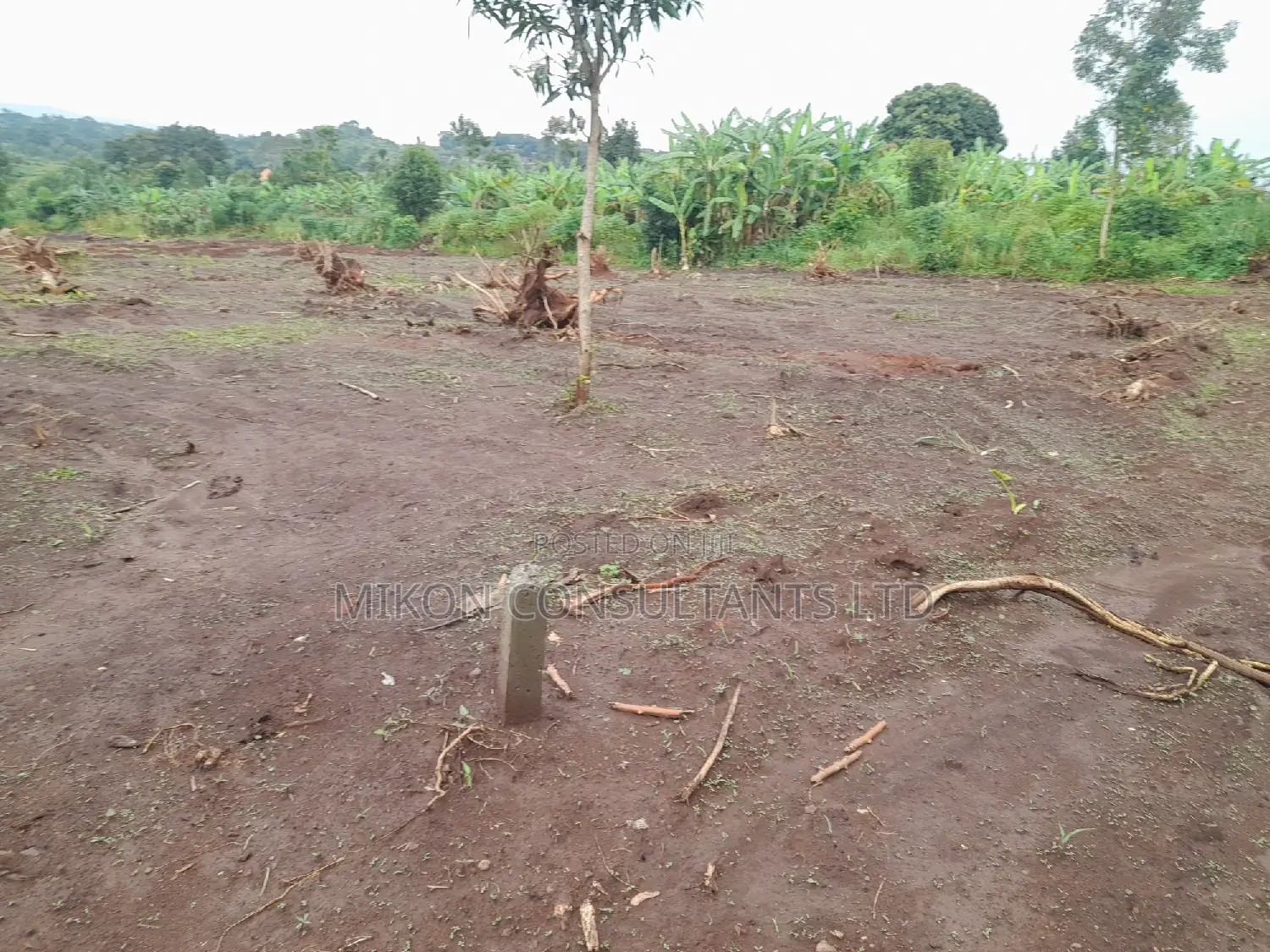 100 by 50 FTS Plot on Sale in Matuga Ssemuto Road in Central Division