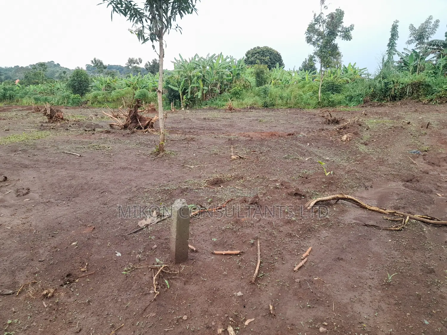 100 by 50 FTS Plot on Sale in Matuga Ssemuto Road in Central Division