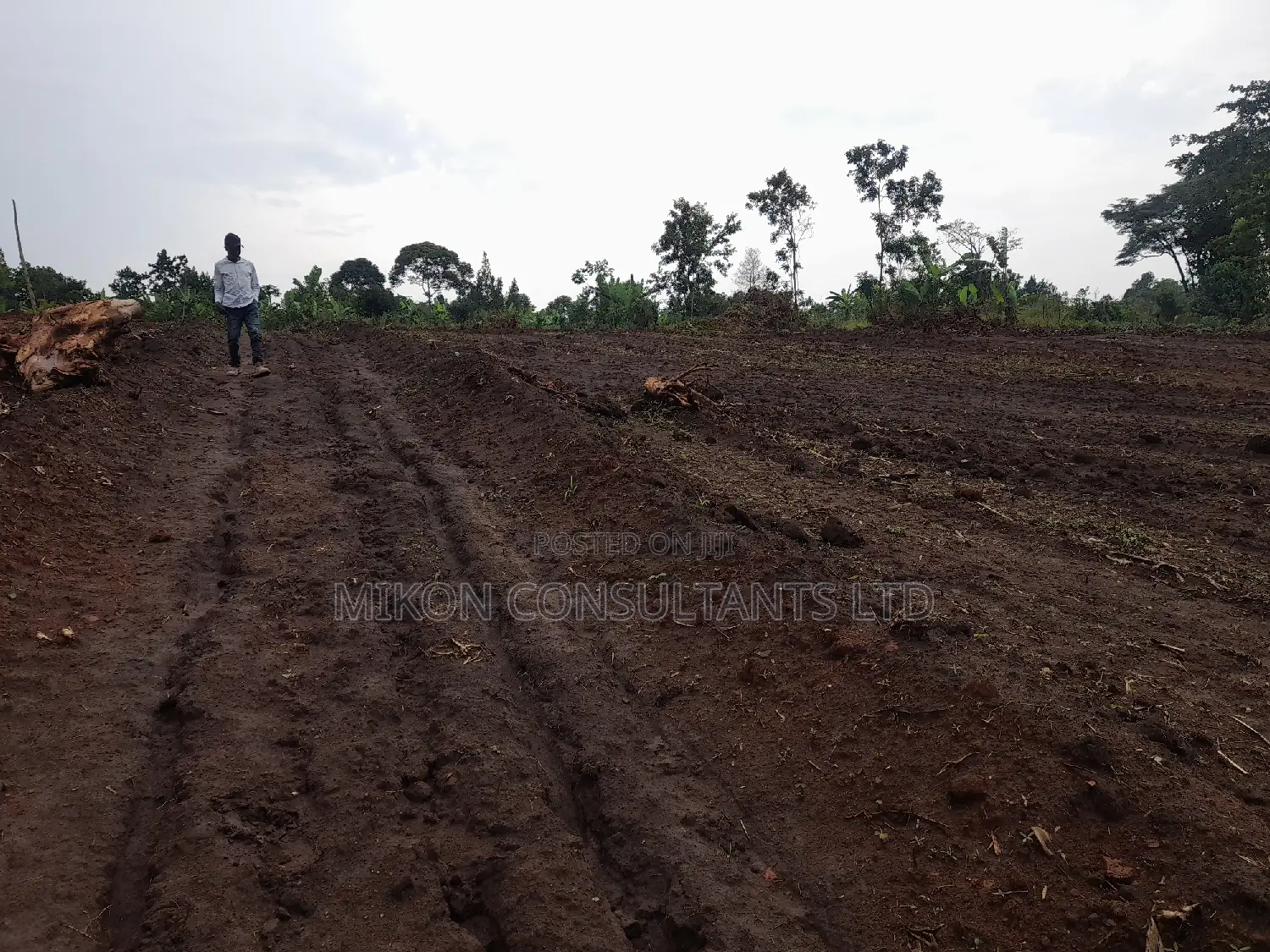 100 by 50 FTS Plot on Sale in Matuga Ssemuto Road in Central Division