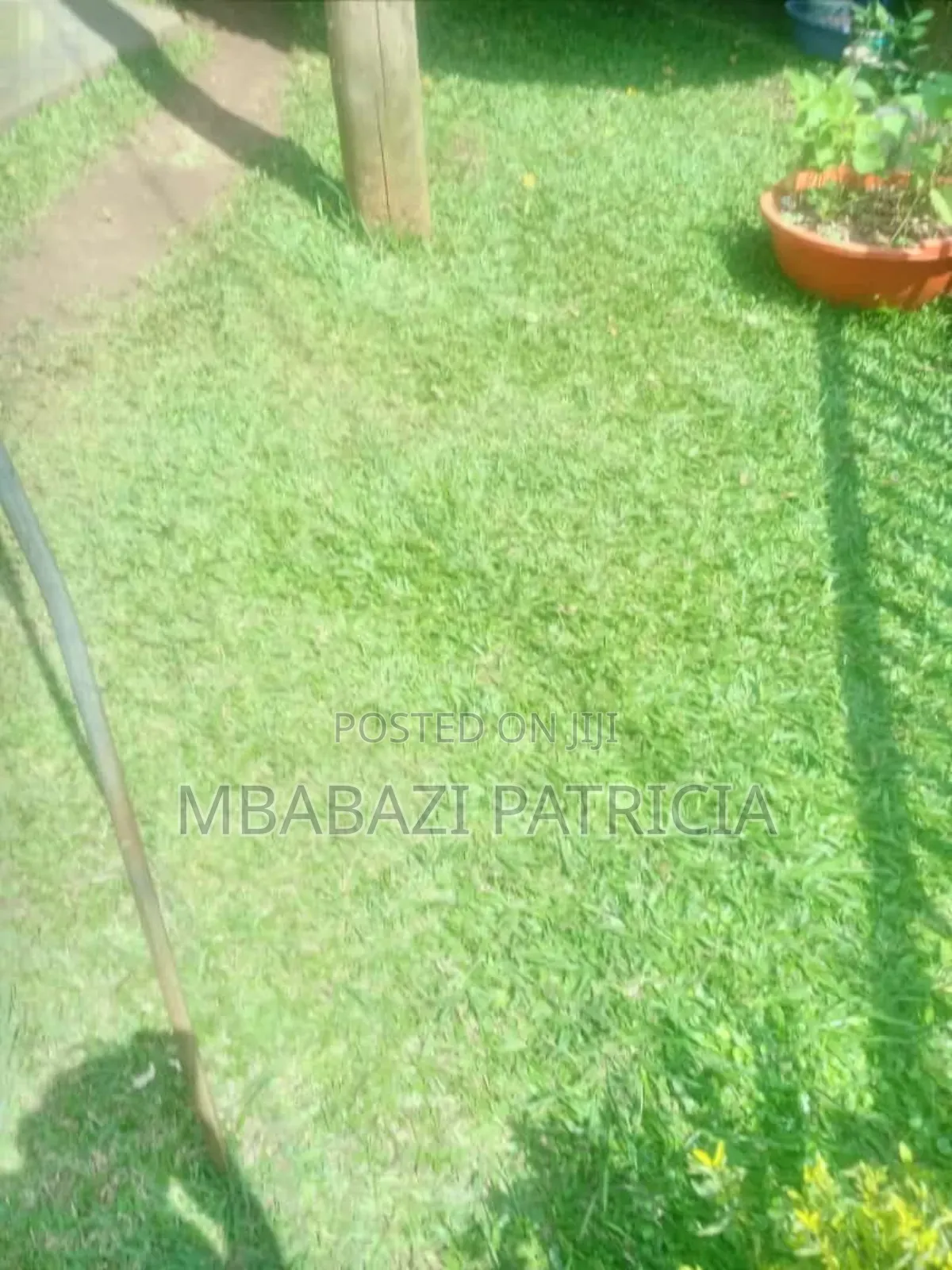 2bdrm House in Non, Wakiso / Wakiso for rent in Wakiso / Wakiso