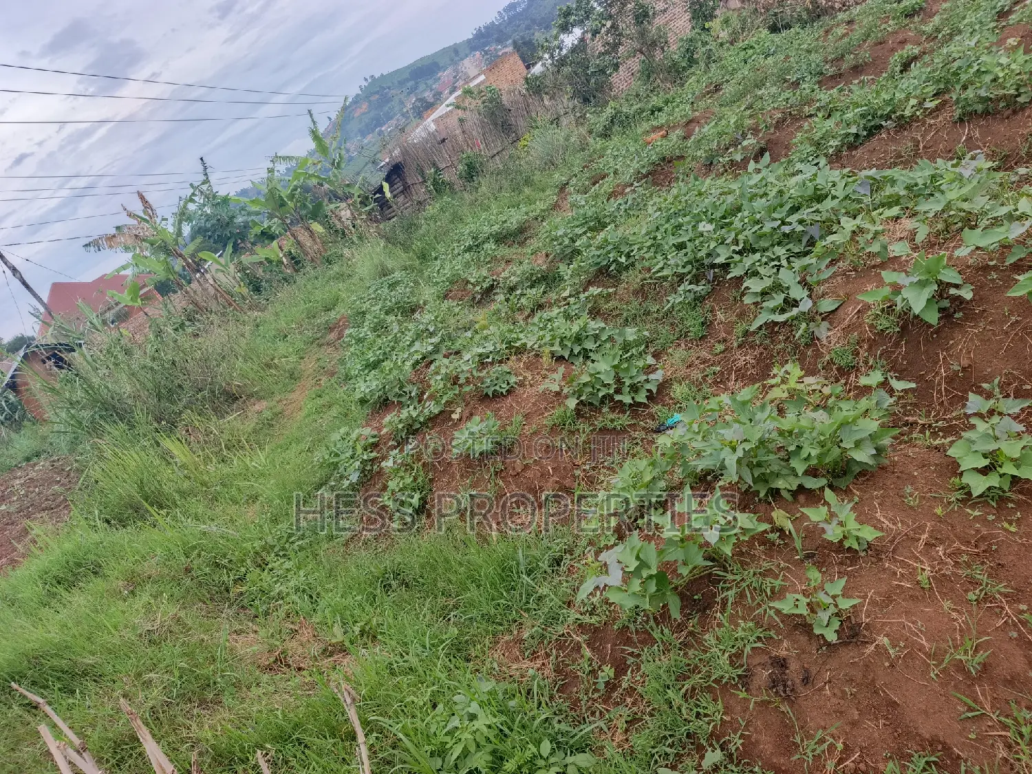 11decimal of Land on Sale Located in Rugombe in Kyenjojo