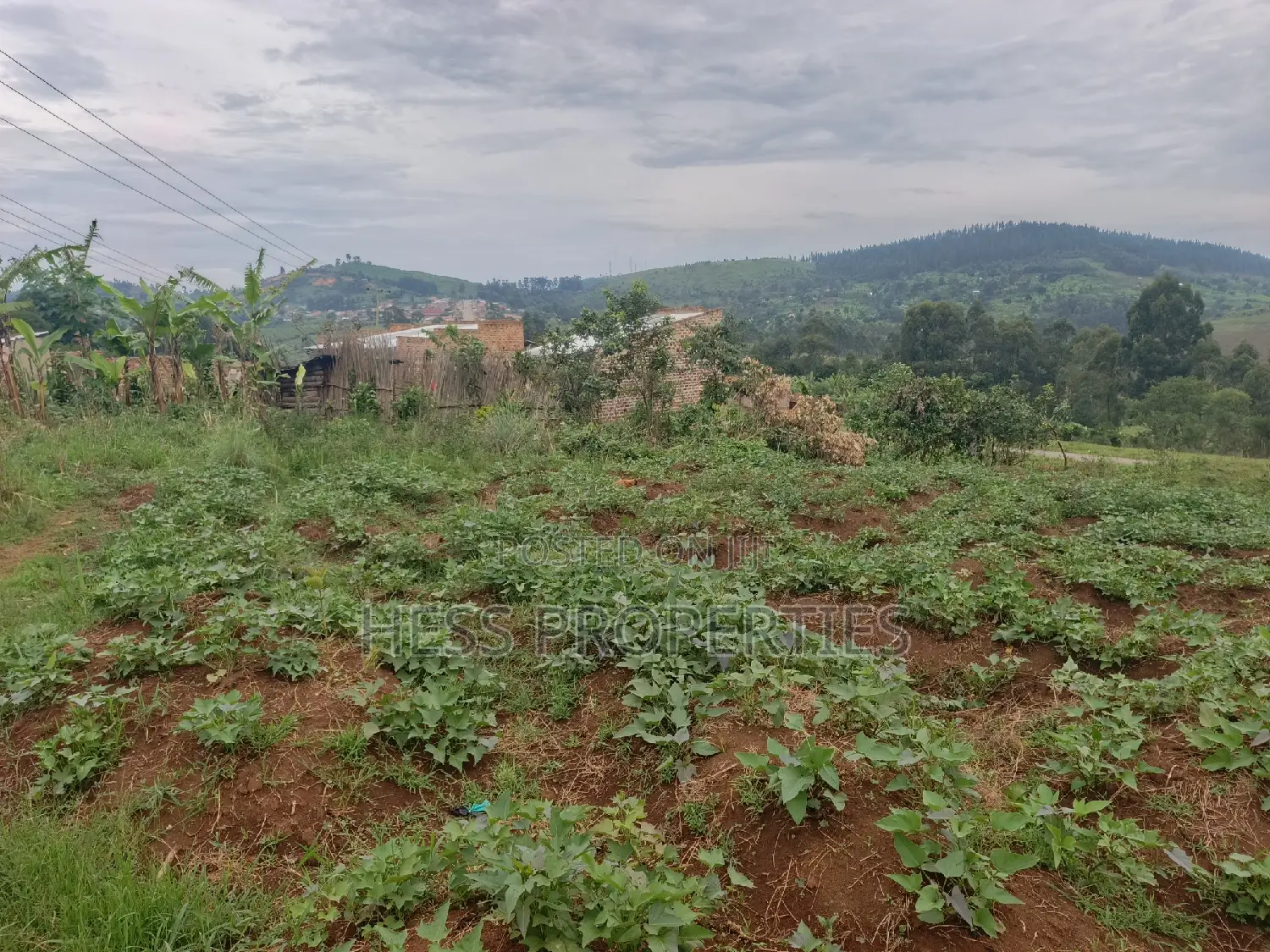 11decimal of Land on Sale Located in Rugombe in Kyenjojo