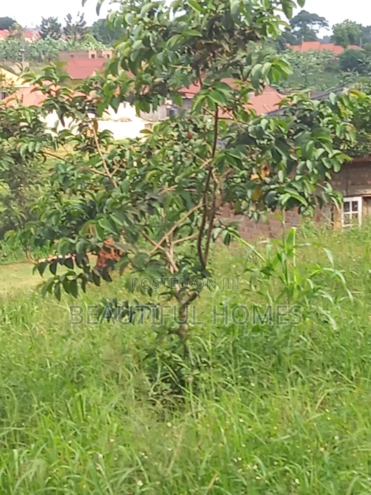 Namugongo Few Plots Left in Thus Estate in Kira