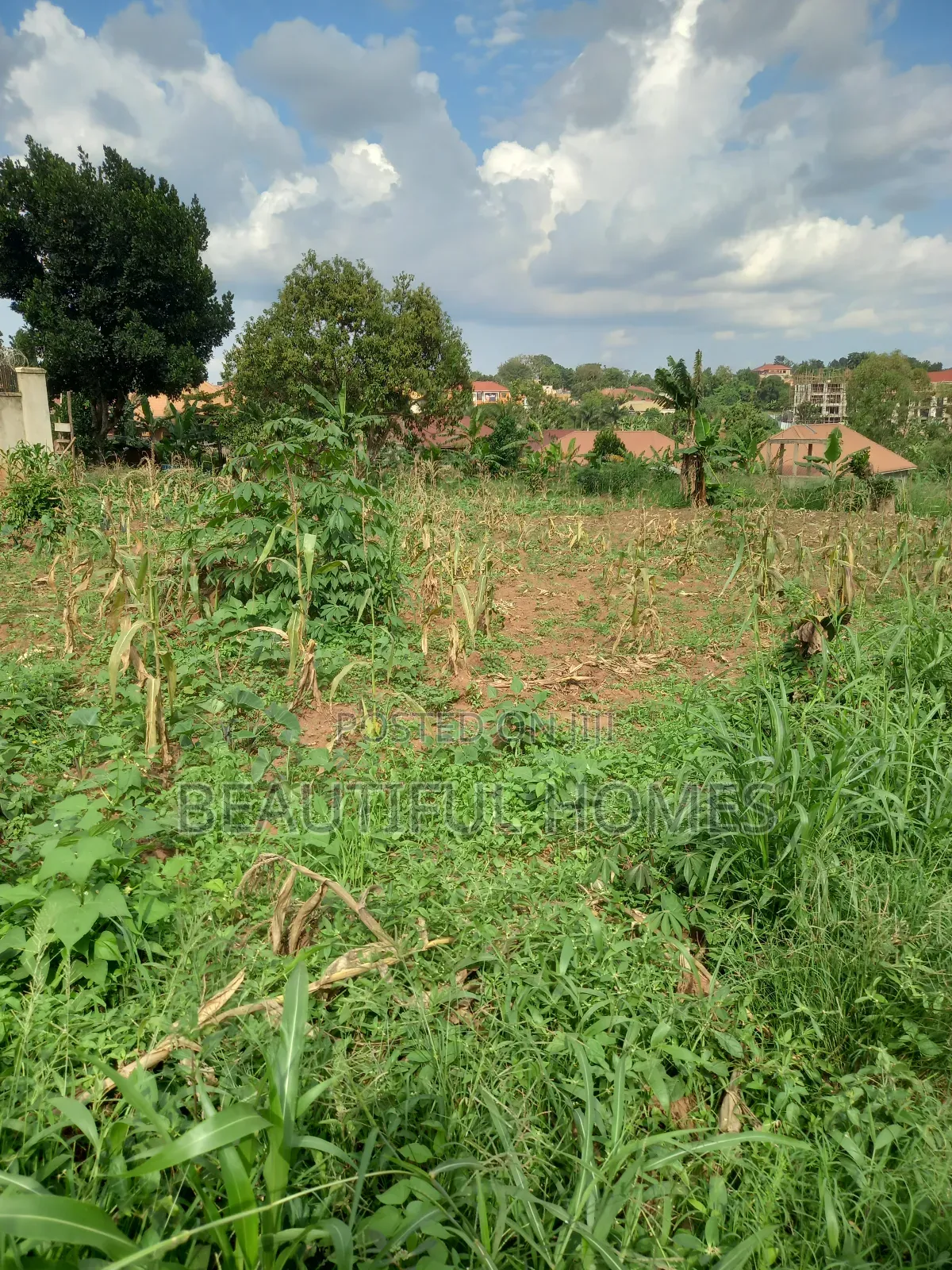 Plots in Namugongo Near Main Road on Sale in Central Division
