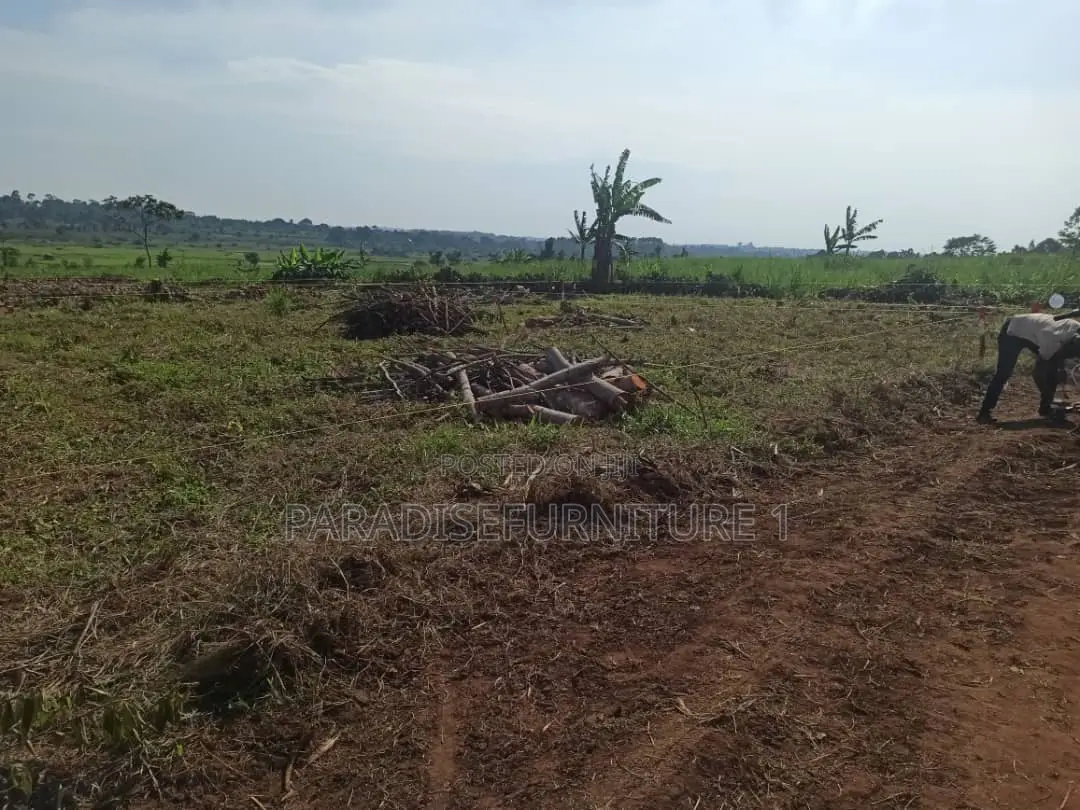 25 by 50 Ft Farm Land in Kasawo