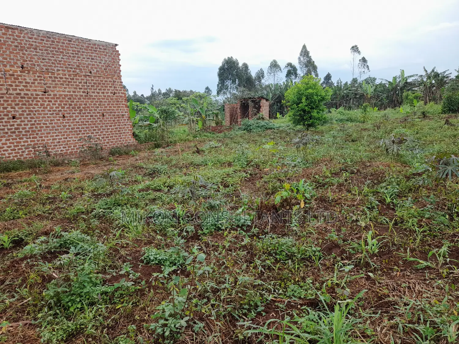 25 by 50 FTS Plot in Matuga Sanga on Sale in Central Division