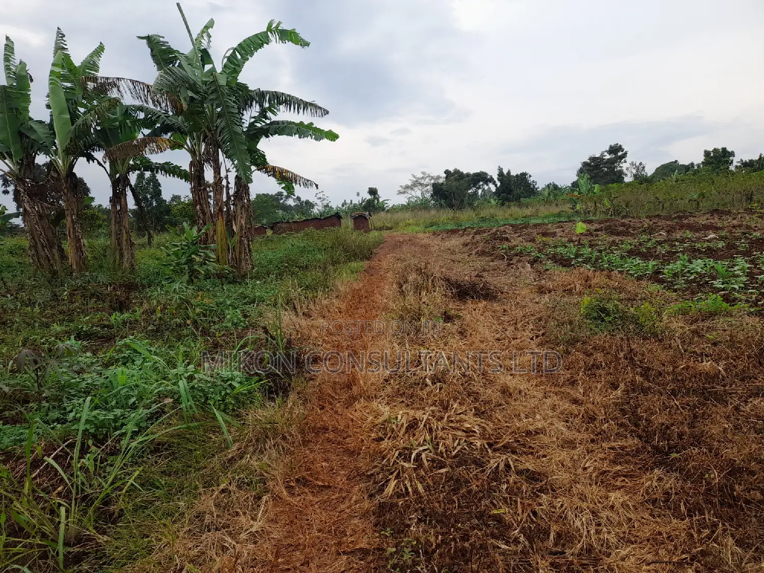 25 by 50 FTS Plot in Matuga Sanga on Sale in Central Division