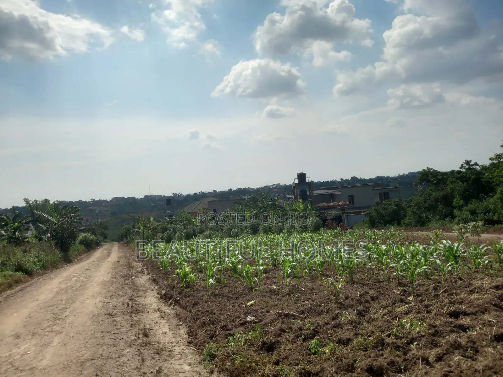 Nabusugwe 14decimals on Quick Sell in Kira