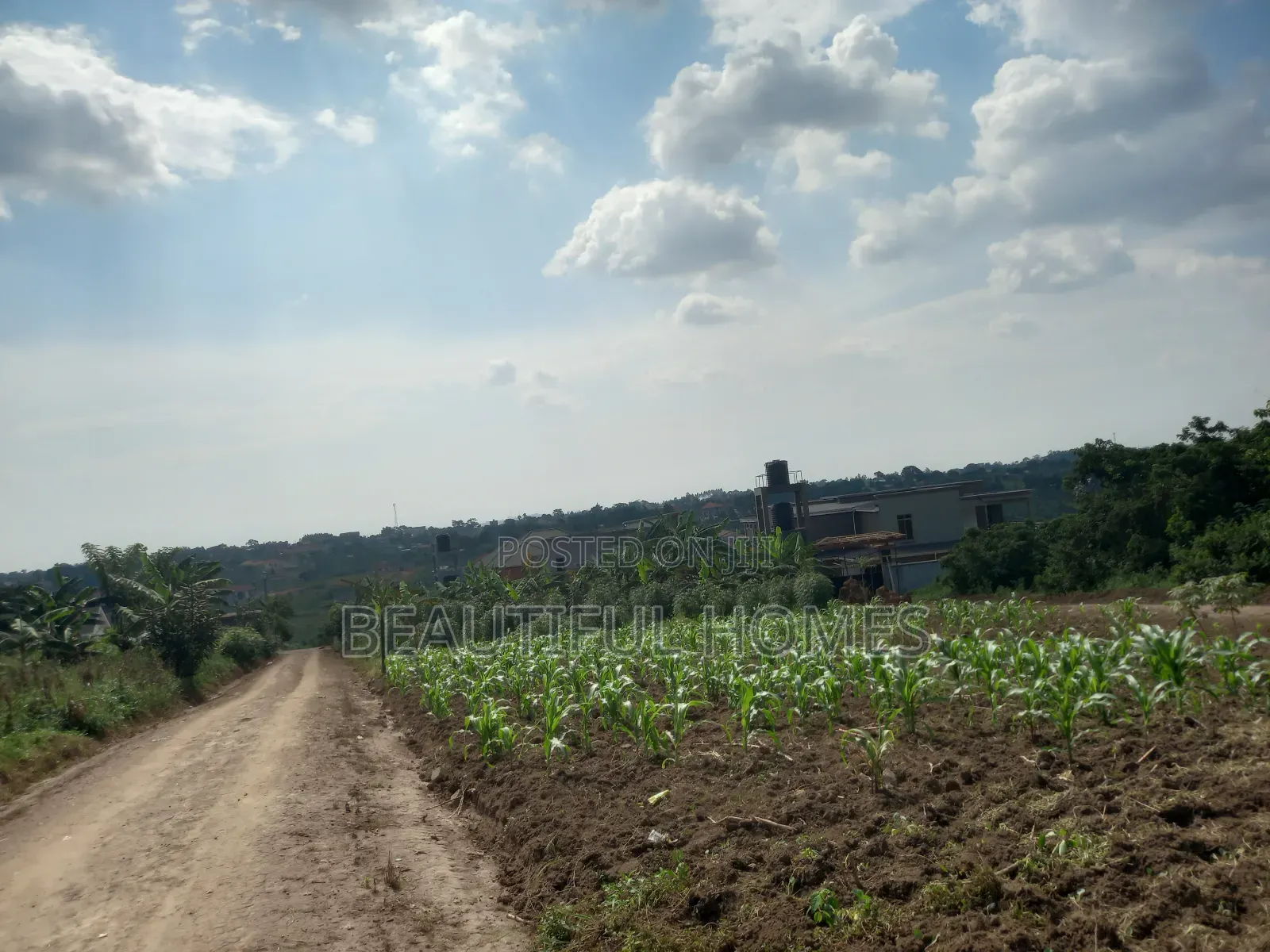 Nabusugwe 14decimals on Quick Sell in Kira