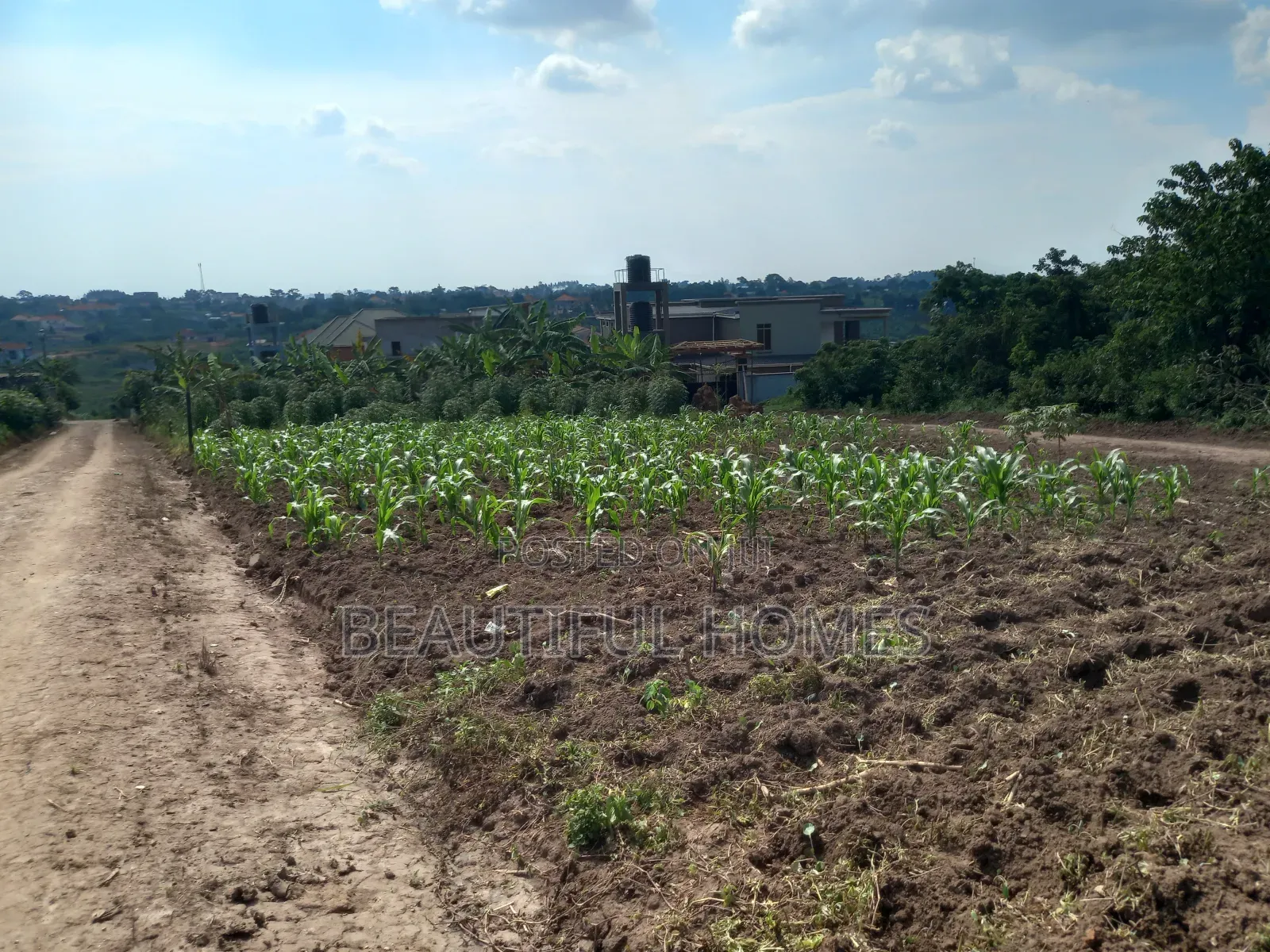 Nabusugwe 14decimals on Quick Sell in Kira