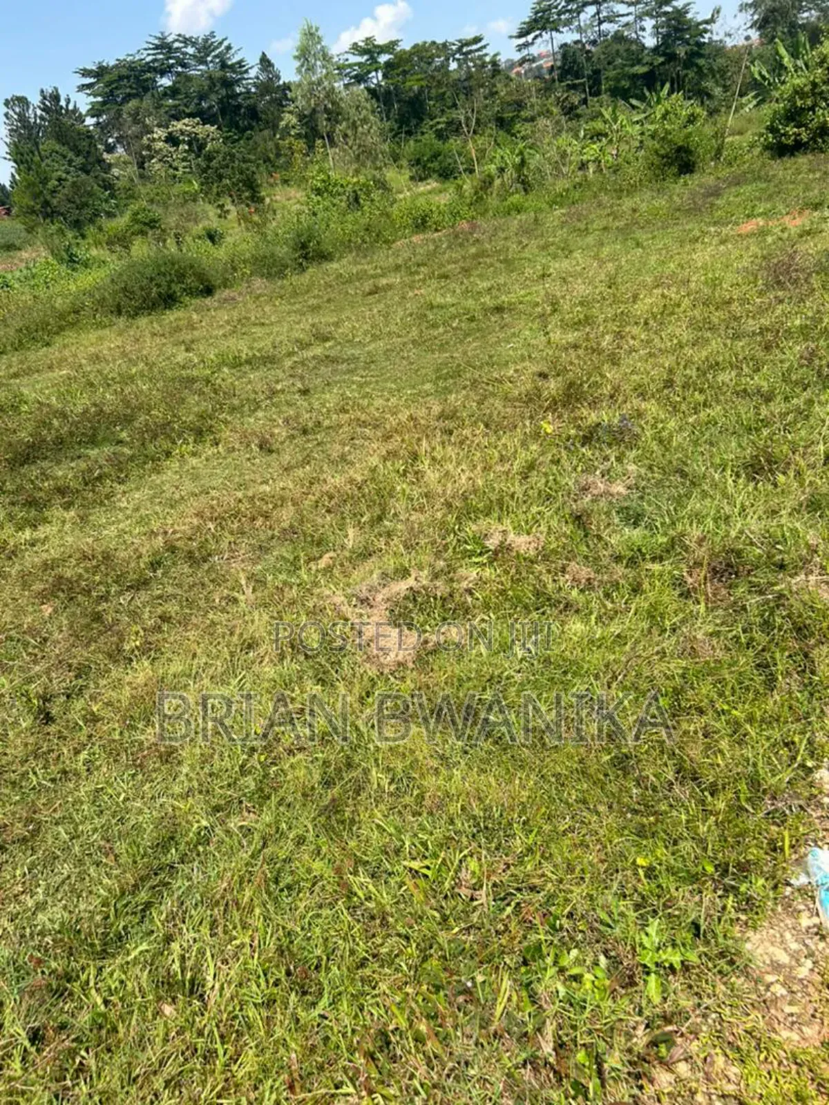 50*100 Plots of Land in Gobero (Land Tittle) at 13.5m in Kakiri