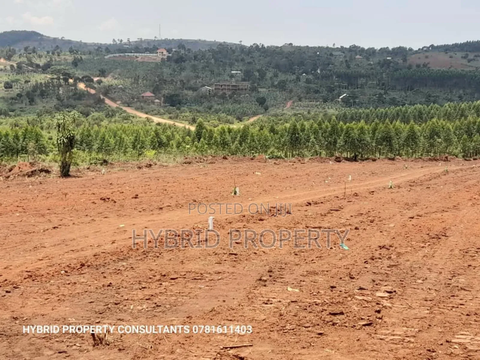 Prime Plots For Sale At Our Katende Modern Site~Masaka Road. in Kiringente