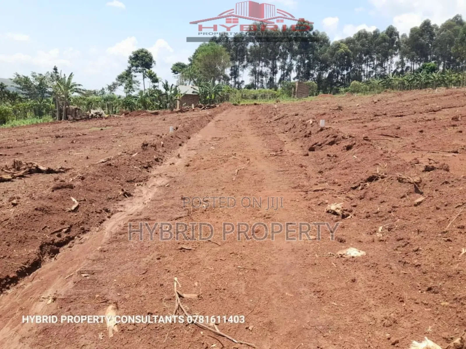 Prime Plots For Sale At Mpigi Lungala~Masaka Road [II III] in Mpigi / Mpigi