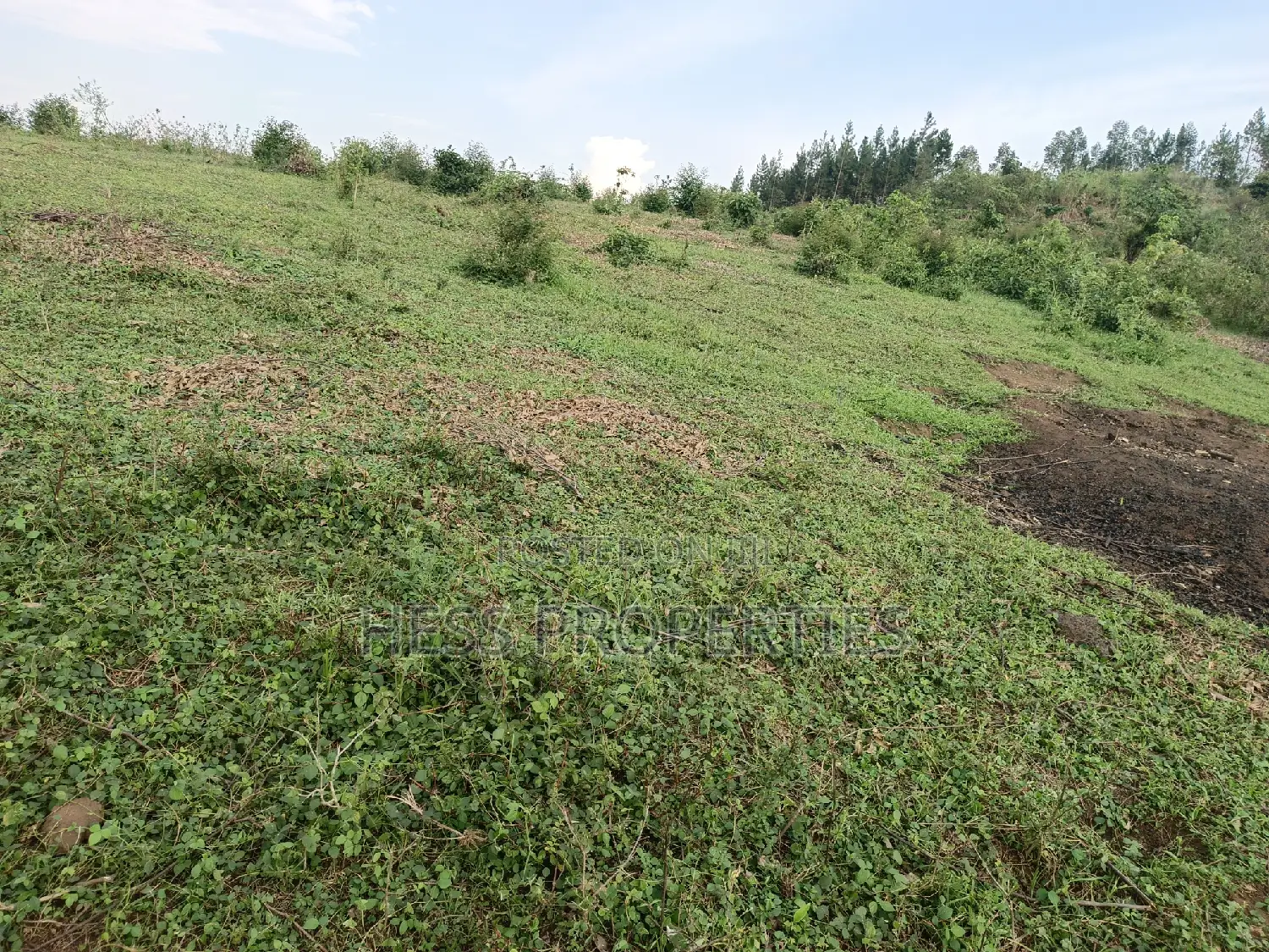 18acres of Land on Sale Located in Bugaaki Sub County-Kasa in Kyenjojo