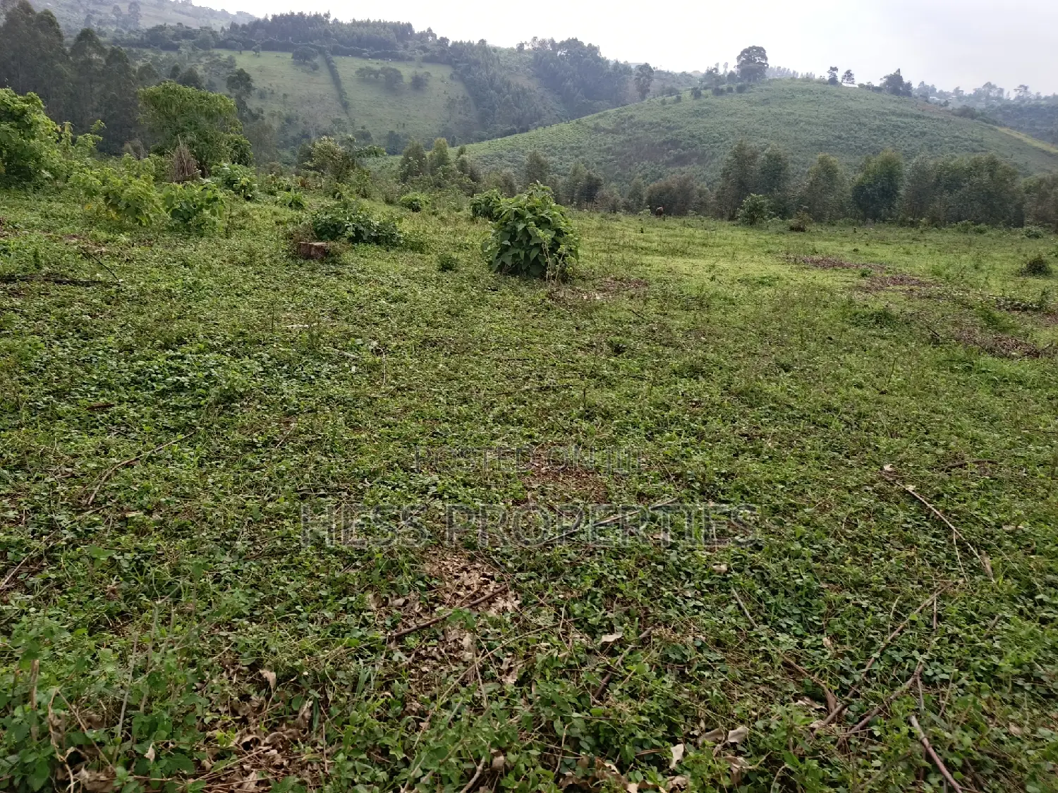 18acres of Land on Sale Located in Bugaaki Sub County-Kasa in Kyenjojo