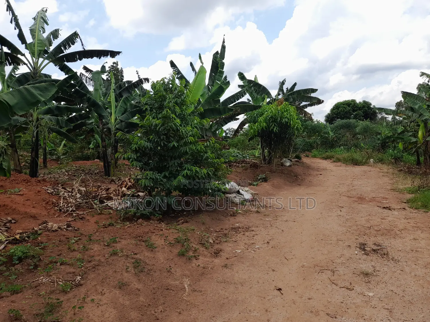 Half Acre in Matuga Town on Sale at Only 65m in Central Division