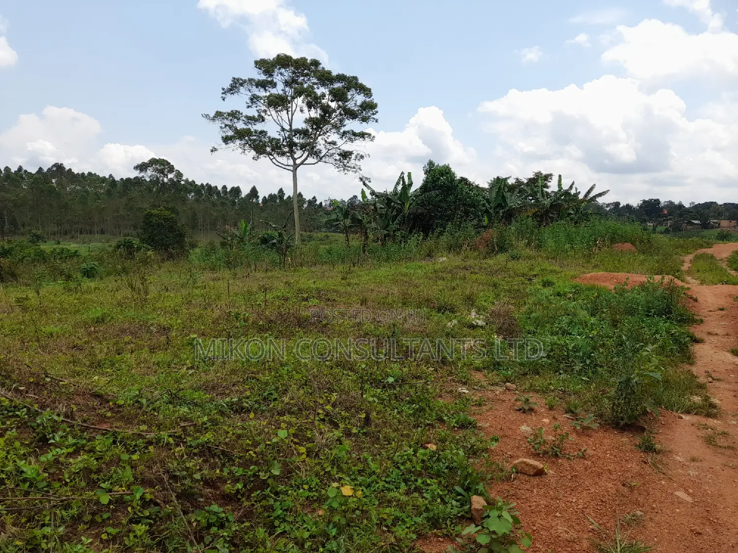 Half Acre in Matuga Town on Sale at Only 65m in Central Division