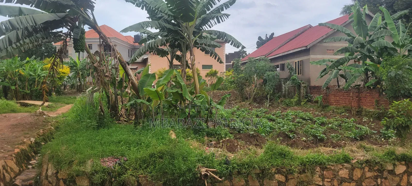 Plot for Sale in Nabweru