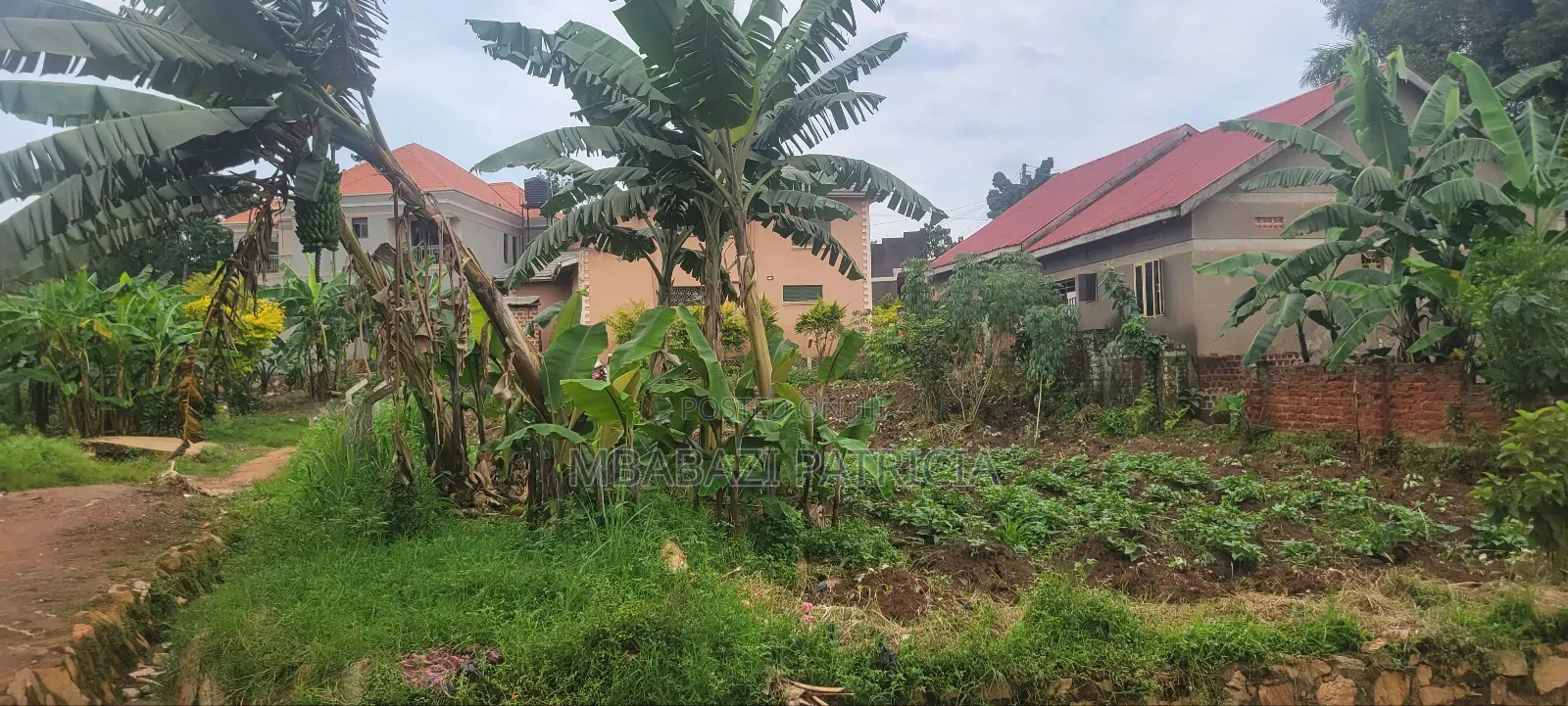 Plot for Sale in Nabweru